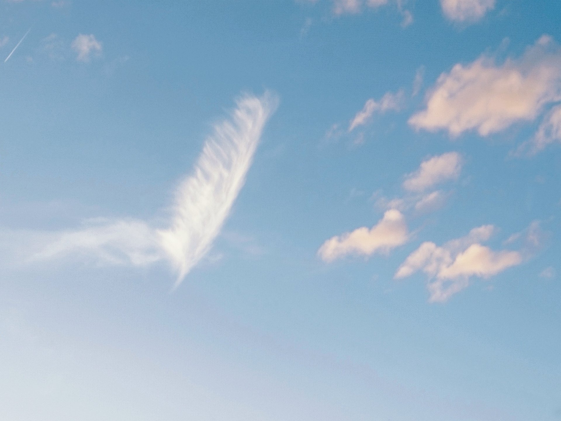 woman wearing yellow long-sleeved dress under white clouds and blue sky during daytime