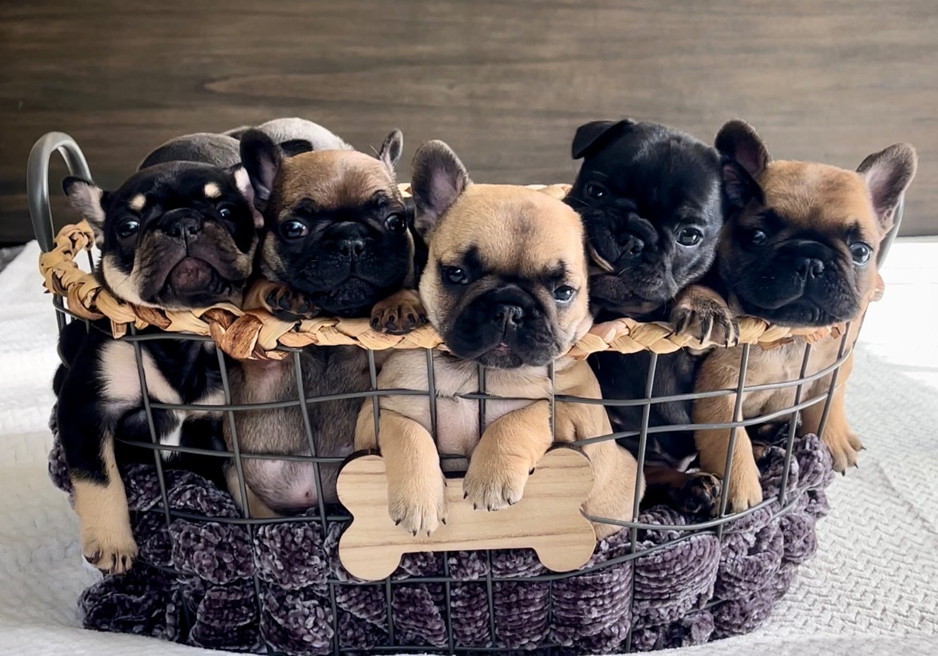 black and white bed linen