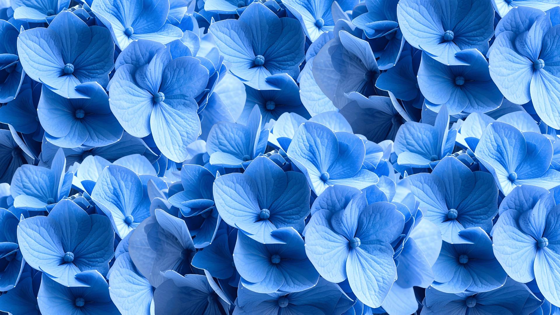 a collage of black and white letters and numbers