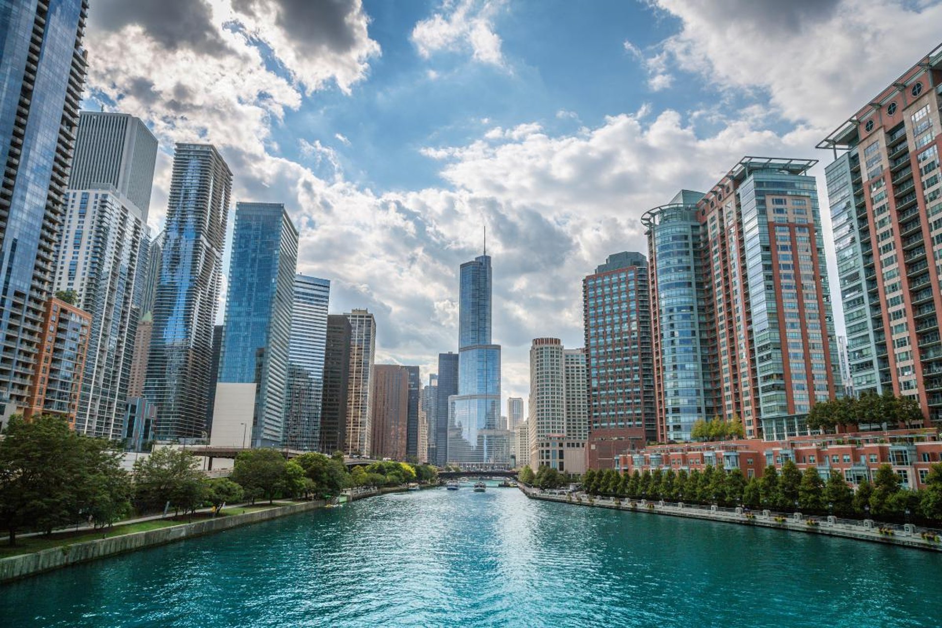 city skyline during night time