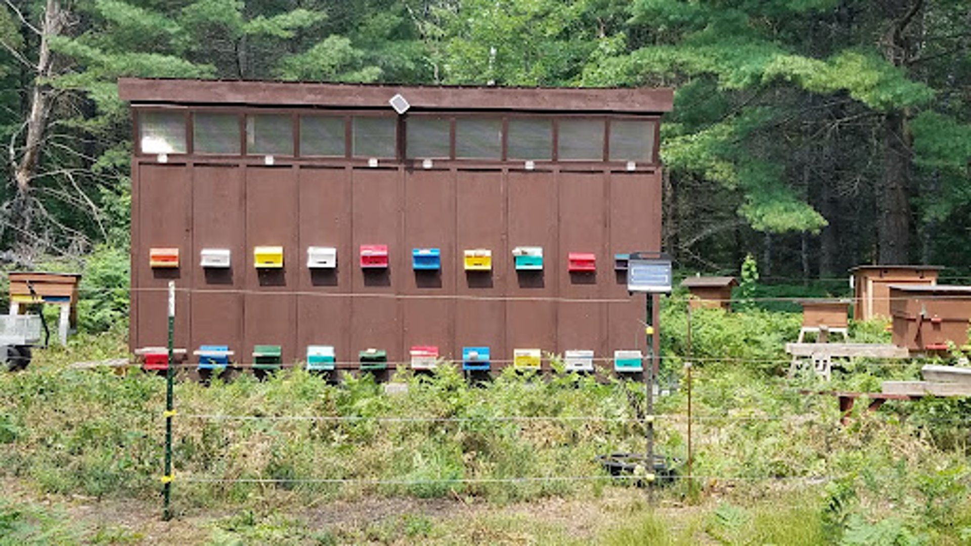 woman wearing yellow long-sleeved dress under white clouds and blue sky during daytime