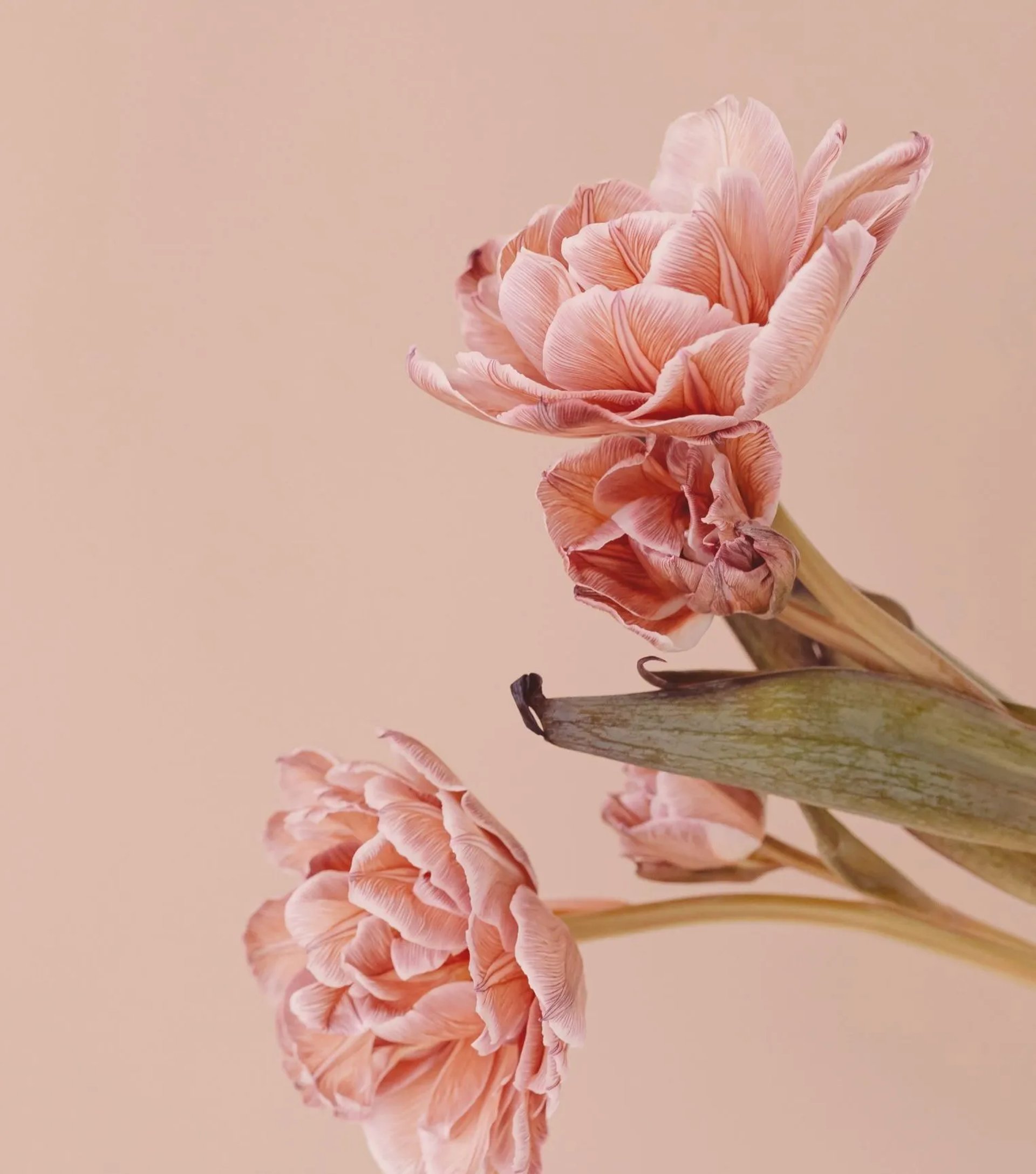 nietypowy-dietetyk-strona-internetowa