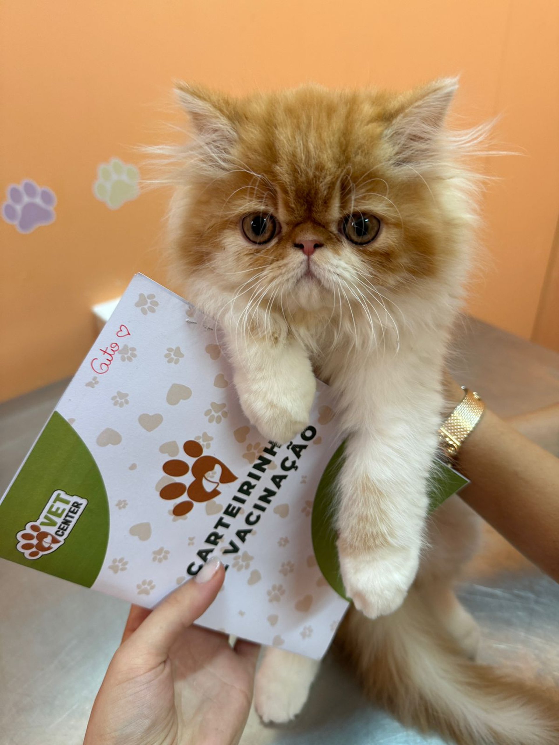 black and brown leather padded tub sofa