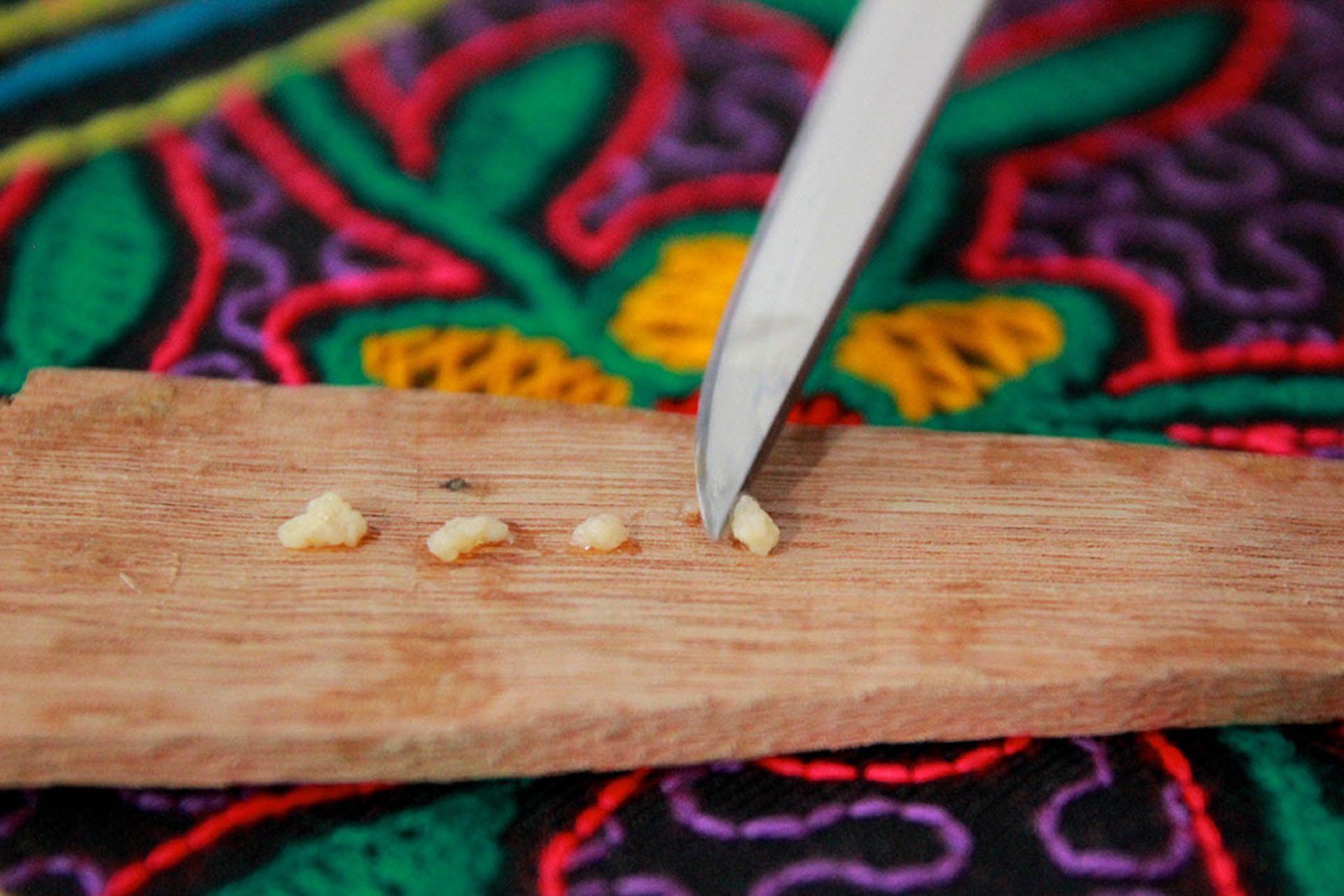 an abstract photo of a curved building with a blue sky in the background