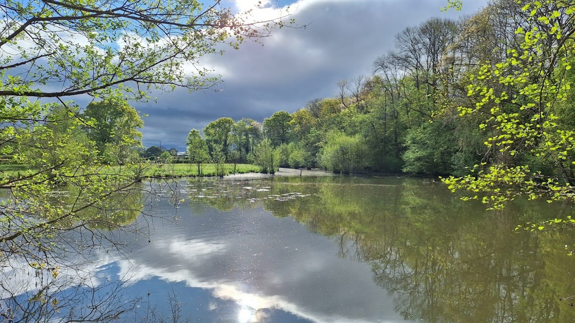 gray computer monitor