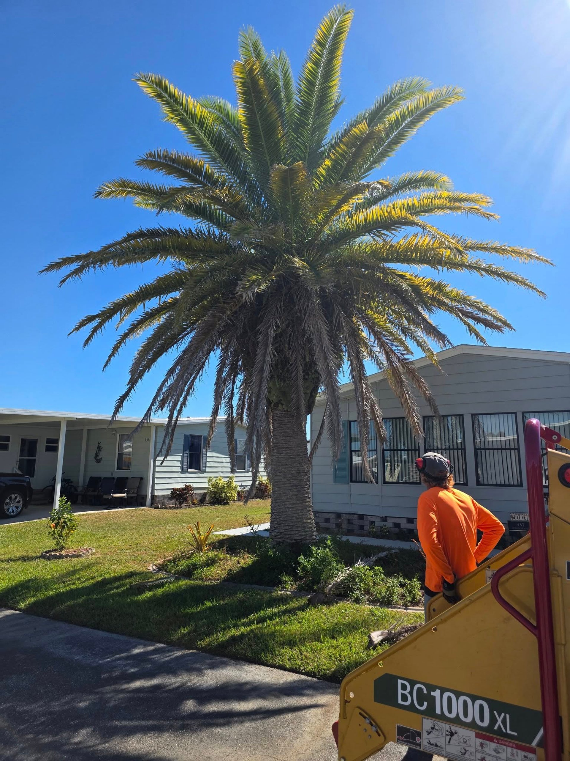 gray computer monitor