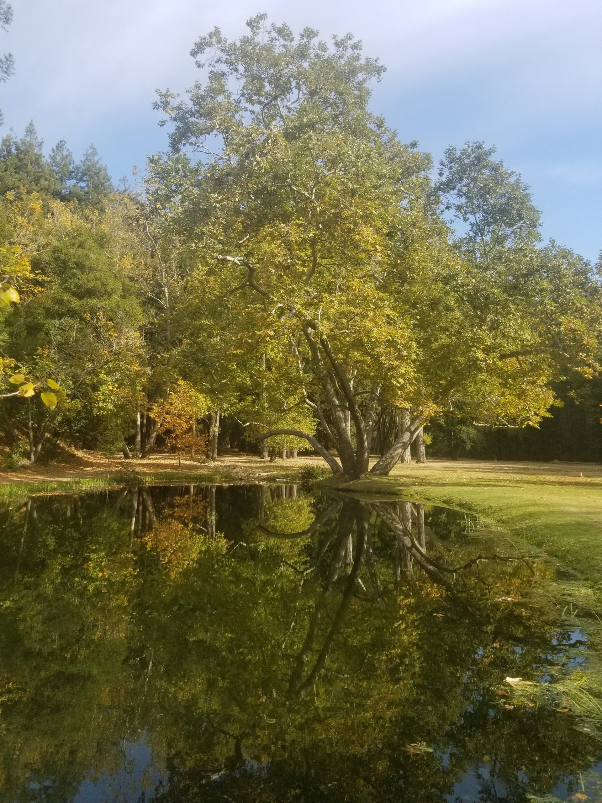 an abstract photo of a curved building with a blue sky in the background