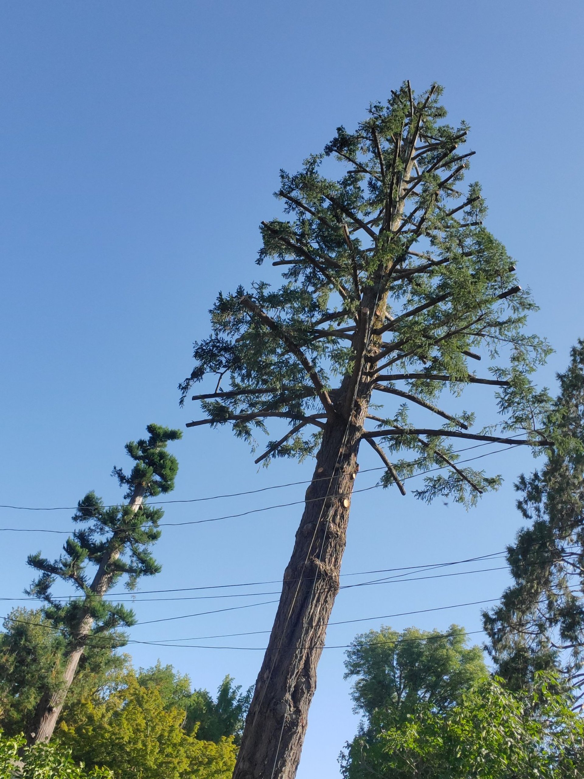 green mountain under white sky during daytime