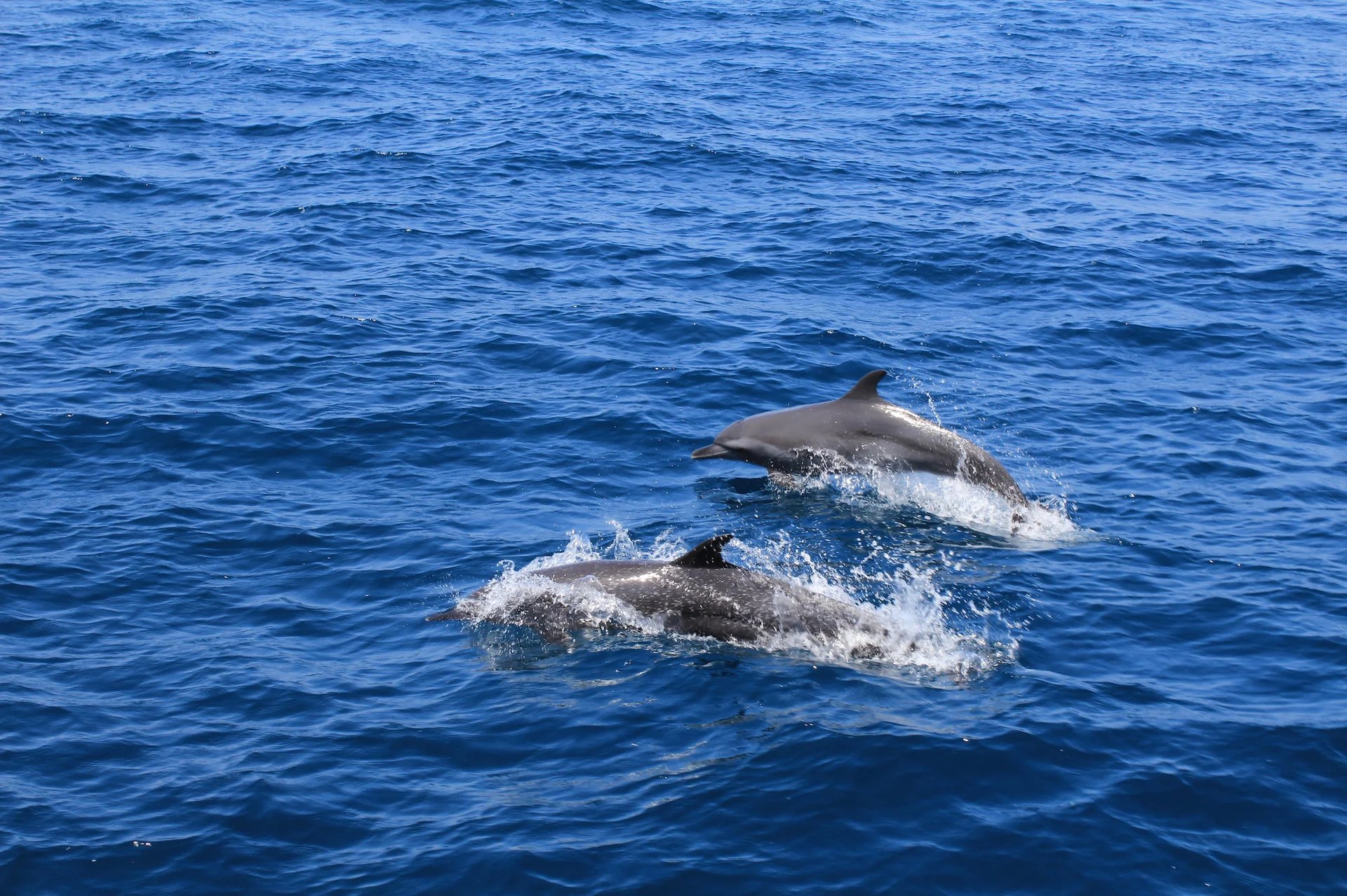 an abstract photo of a curved building with a blue sky in the background