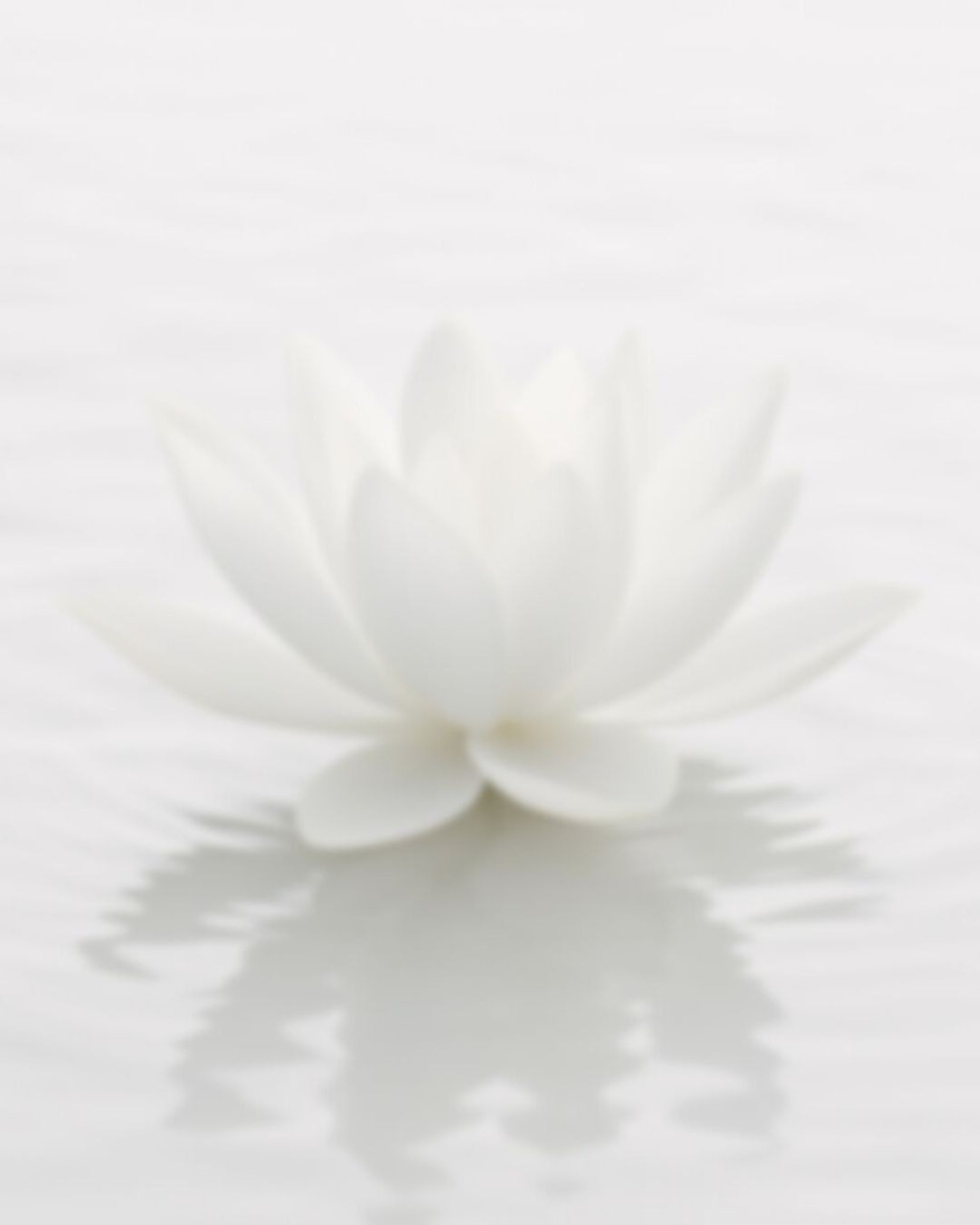 black and brown leather padded tub sofa