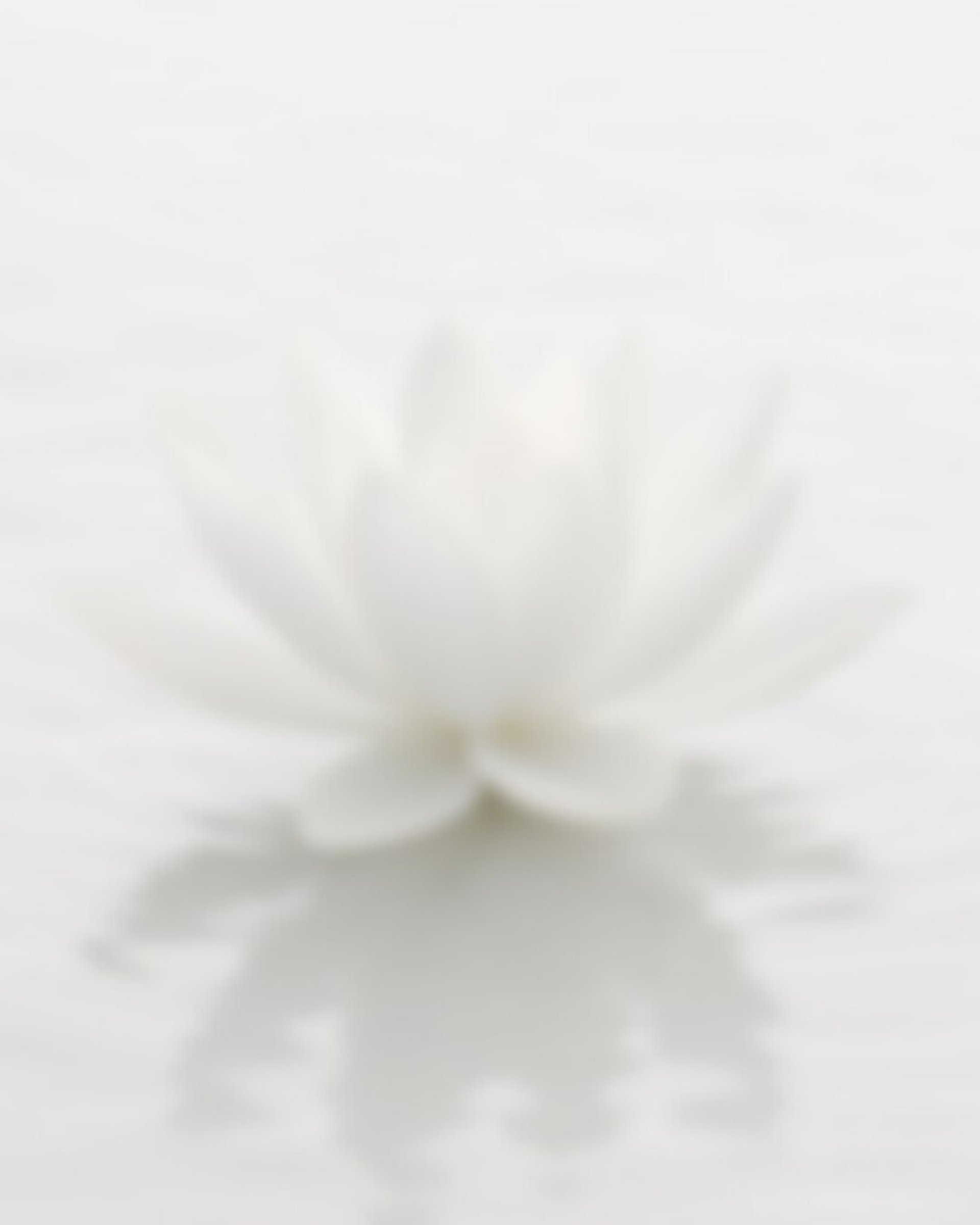 black and brown leather padded tub sofa