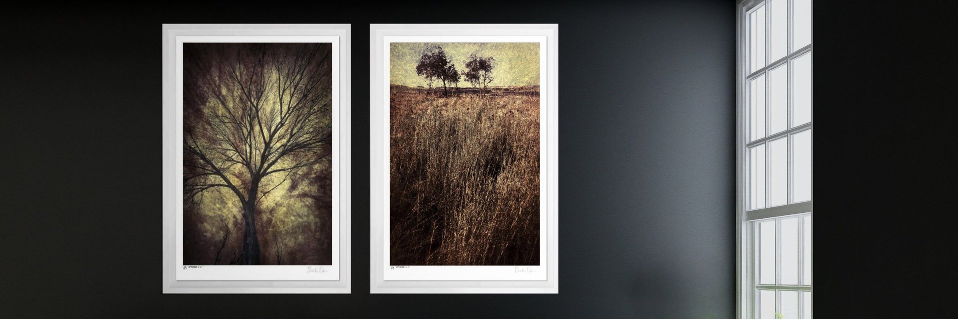 Framed fine art tree photography prints titled Eminence and Quintessence by Martin Osner displayed on a dark gallery wall