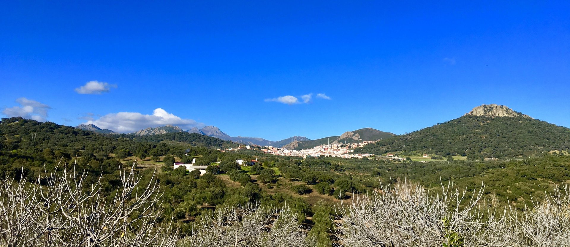 woman wearing yellow long-sleeved dress under white clouds and blue sky during daytime