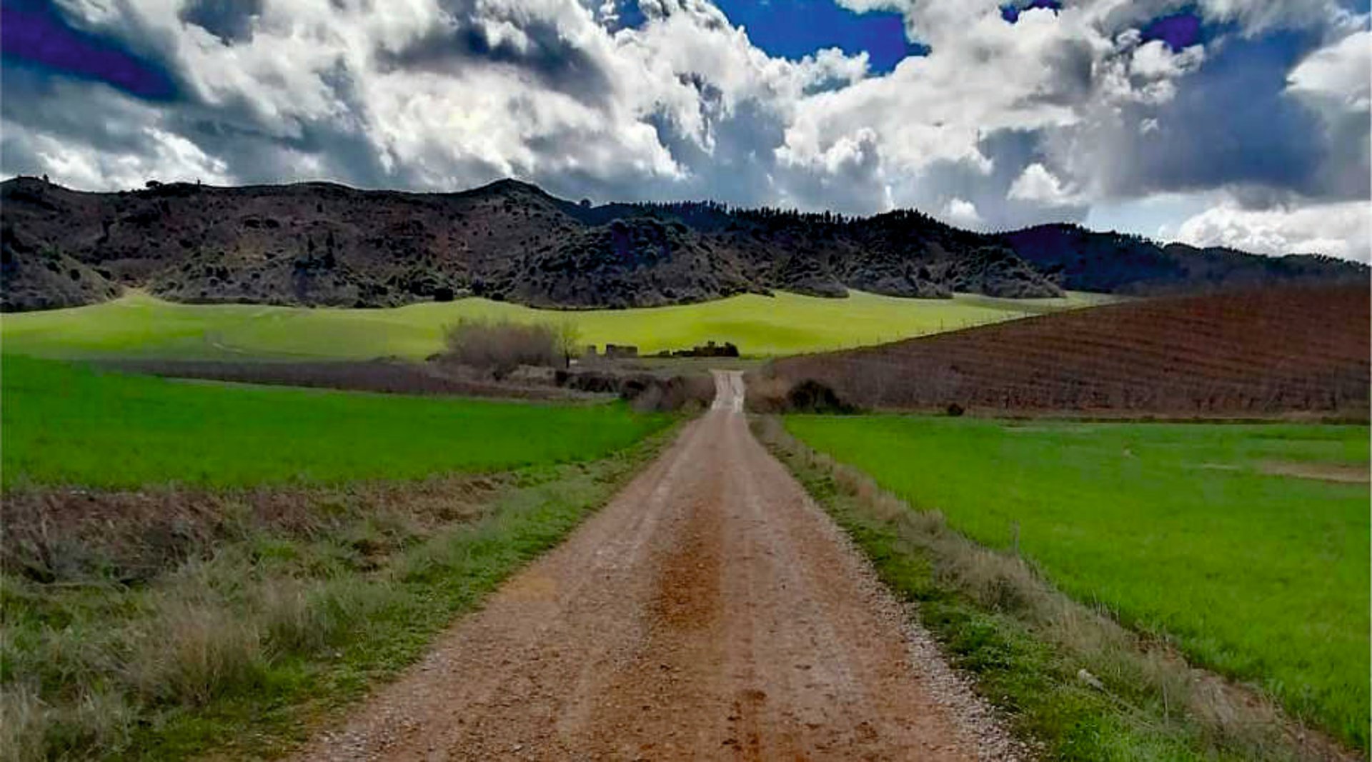 person walking on road near green open field under white skies