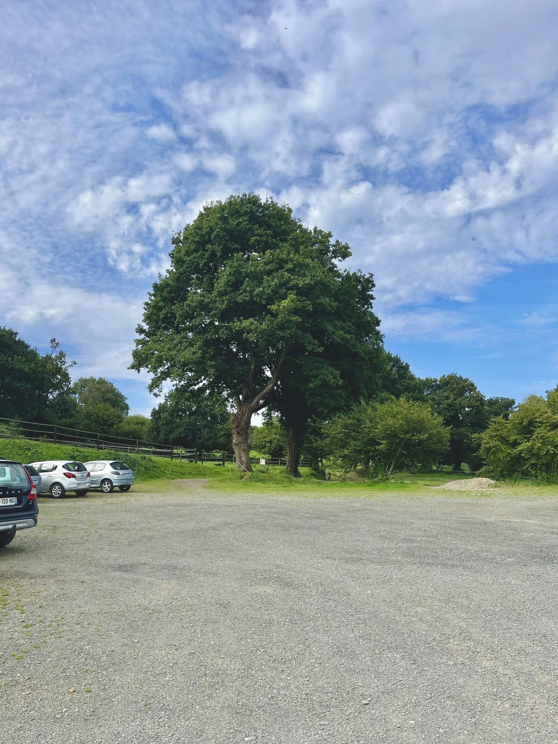 black and brown leather padded tub sofa