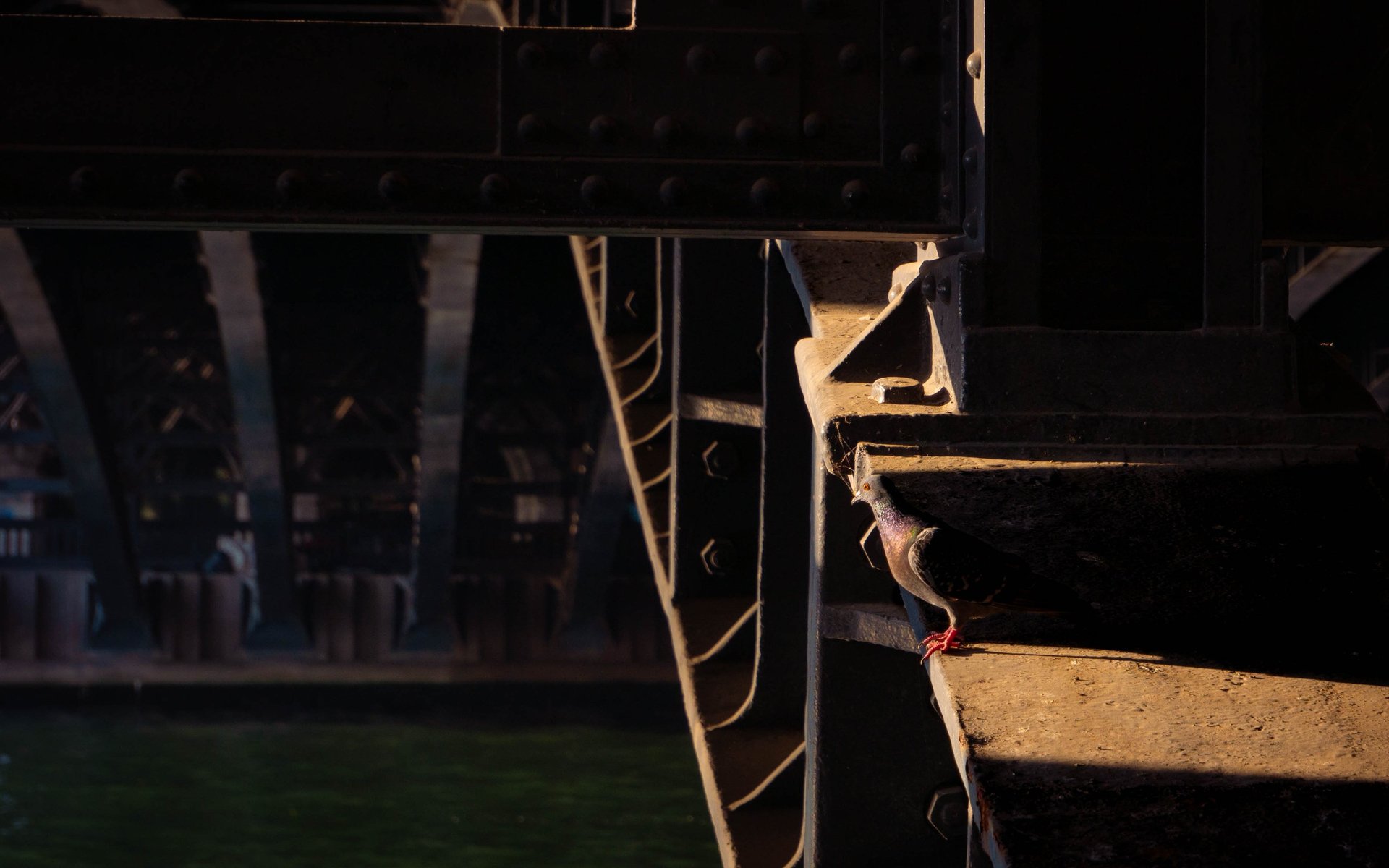 woman wearing yellow long-sleeved dress under white clouds and blue sky during daytime