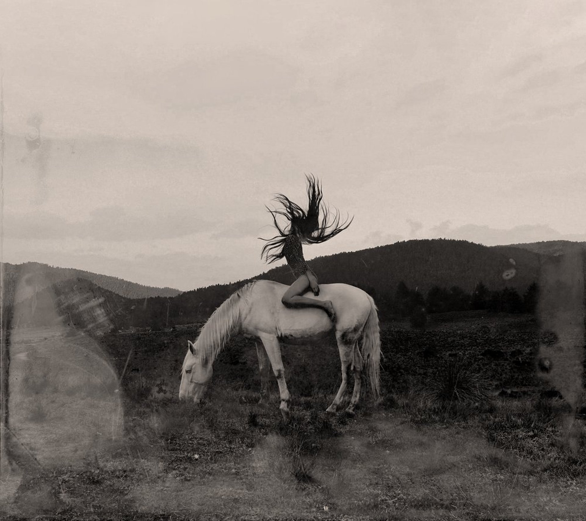 grey pathway between trees during daytime