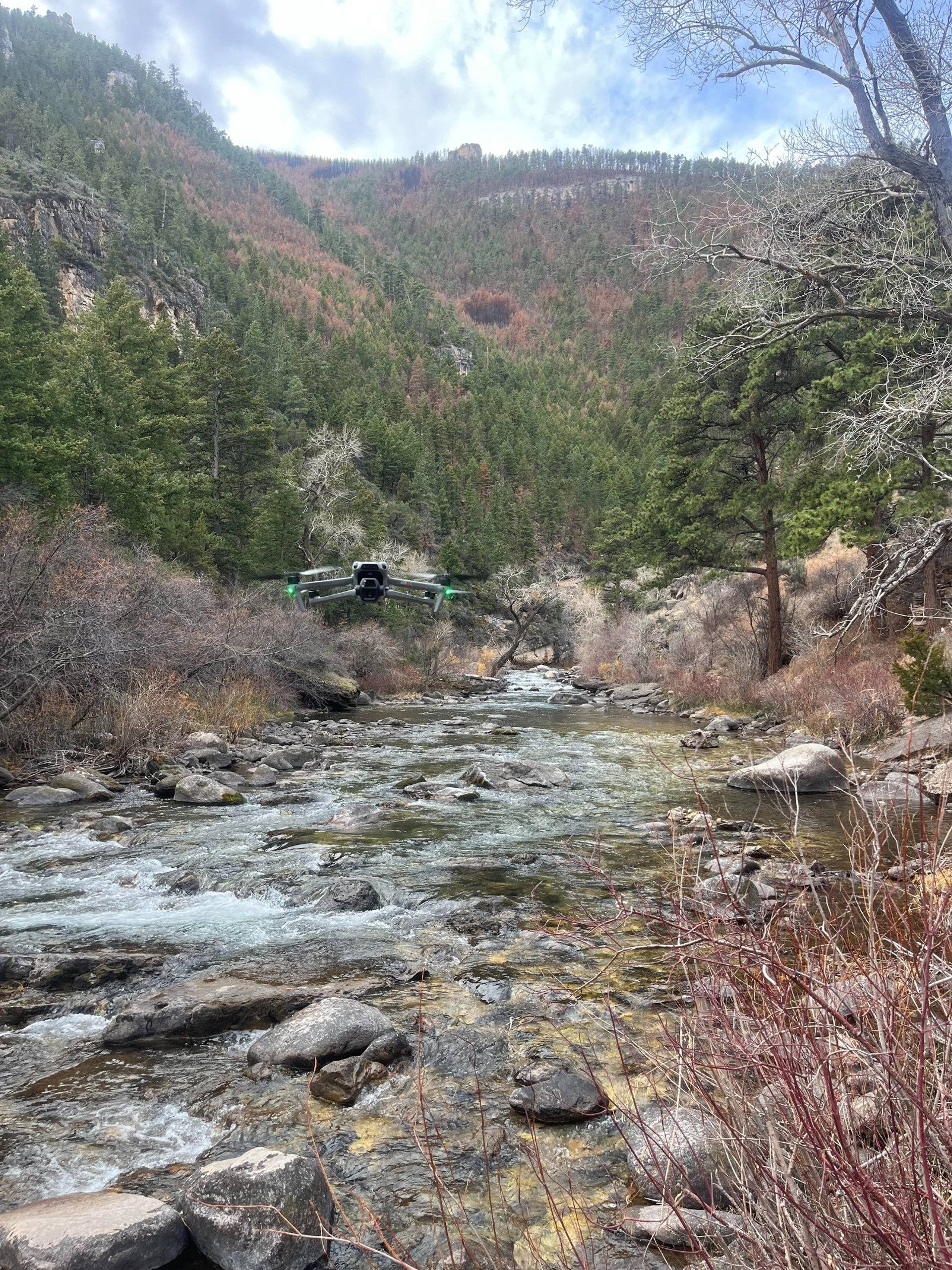 black and brown leather padded tub sofa