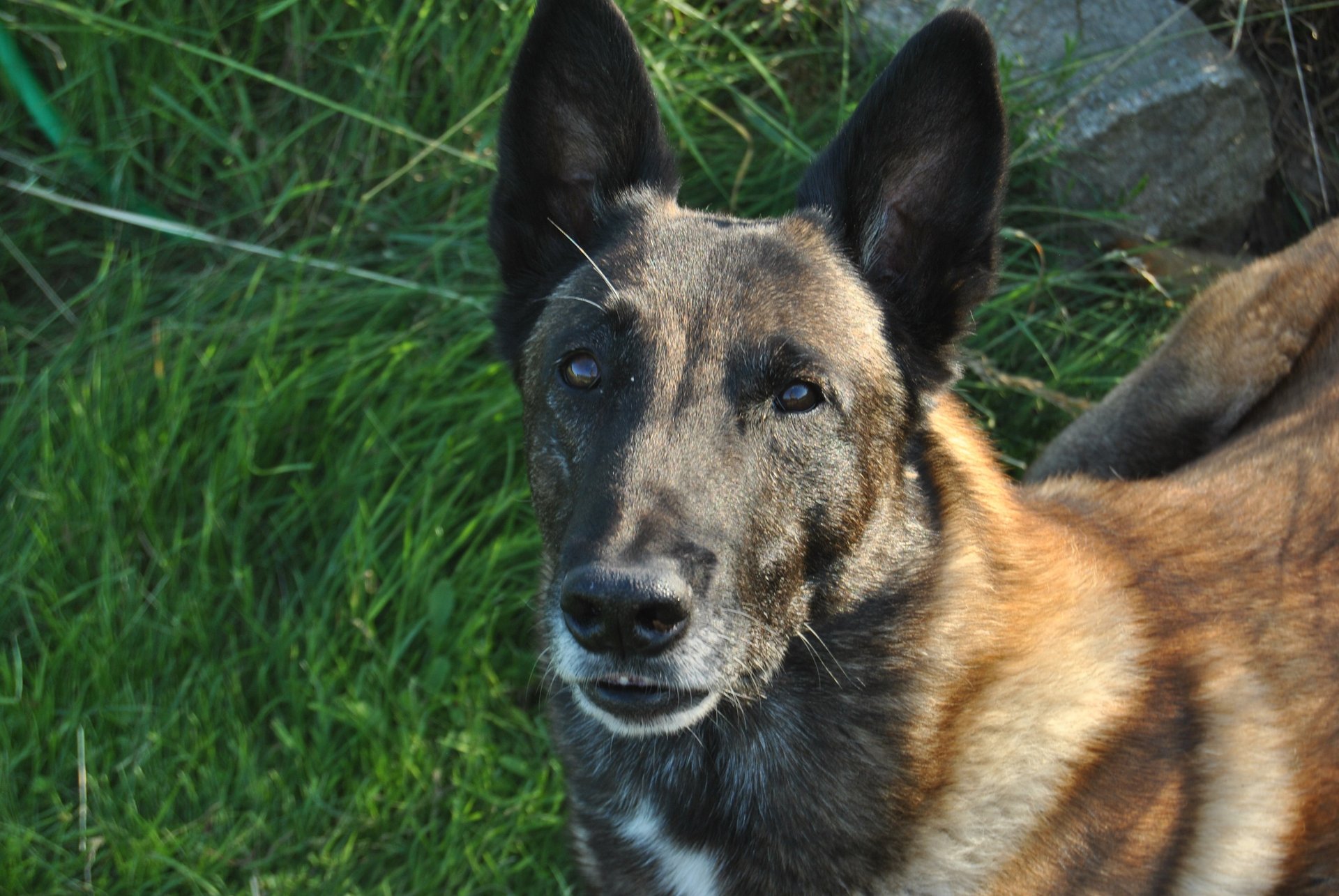 an abstract photo of a curved building with a blue sky in the background