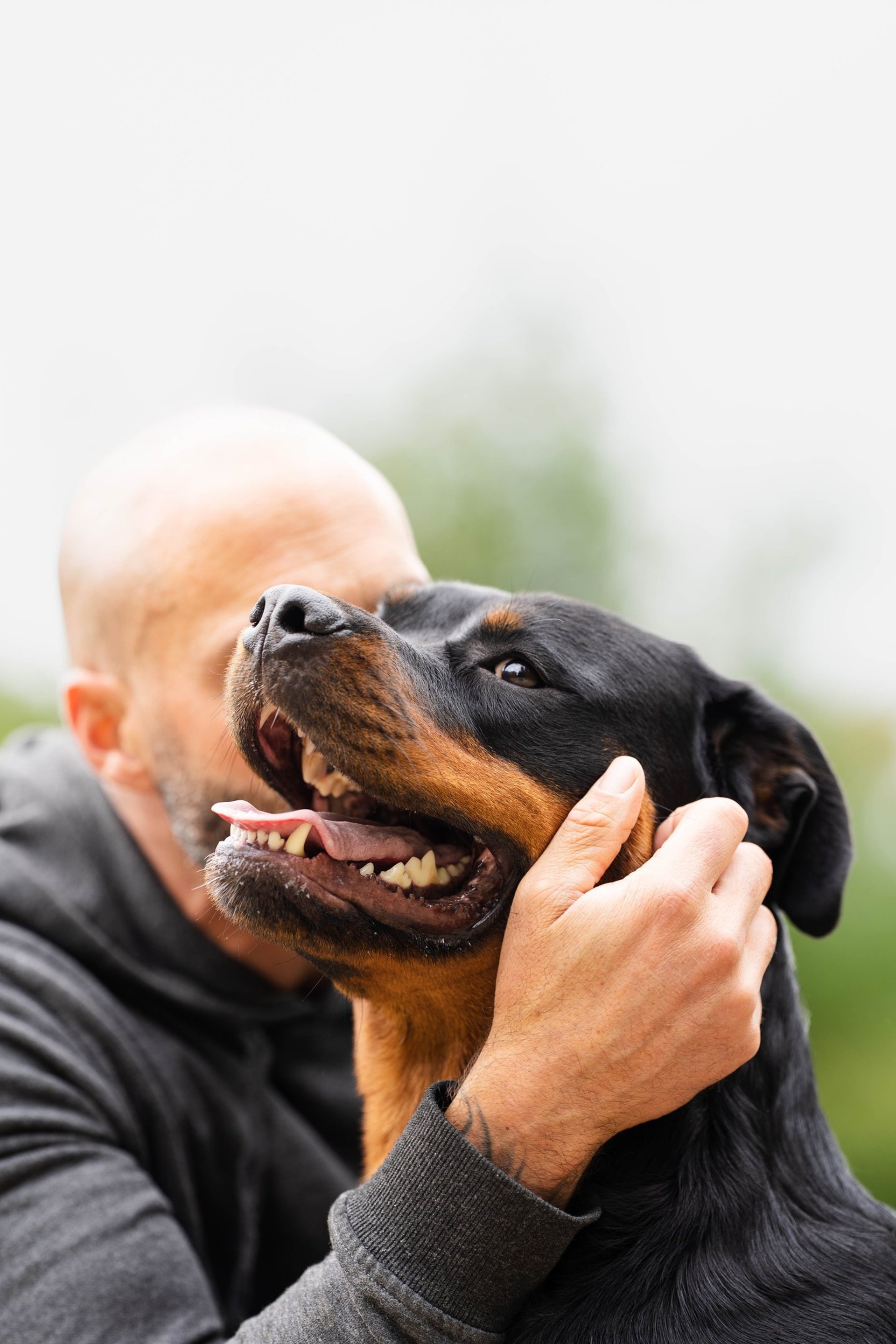 black and white bed linen