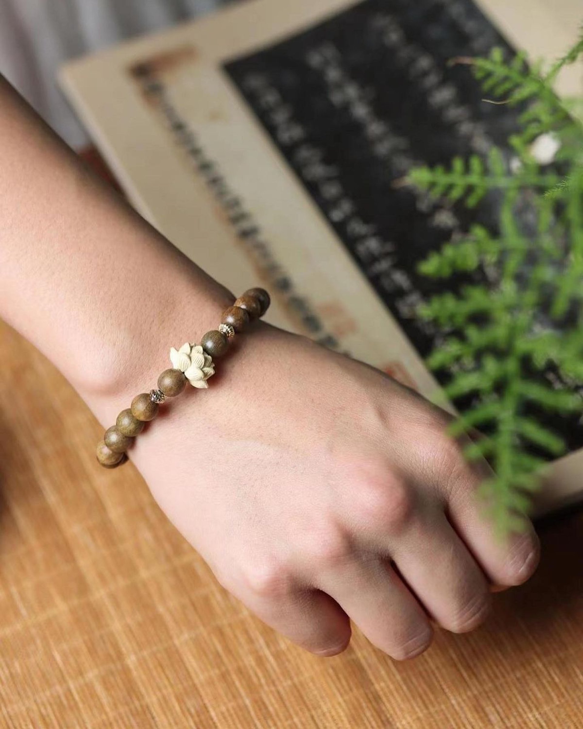 tree logs under blue sky