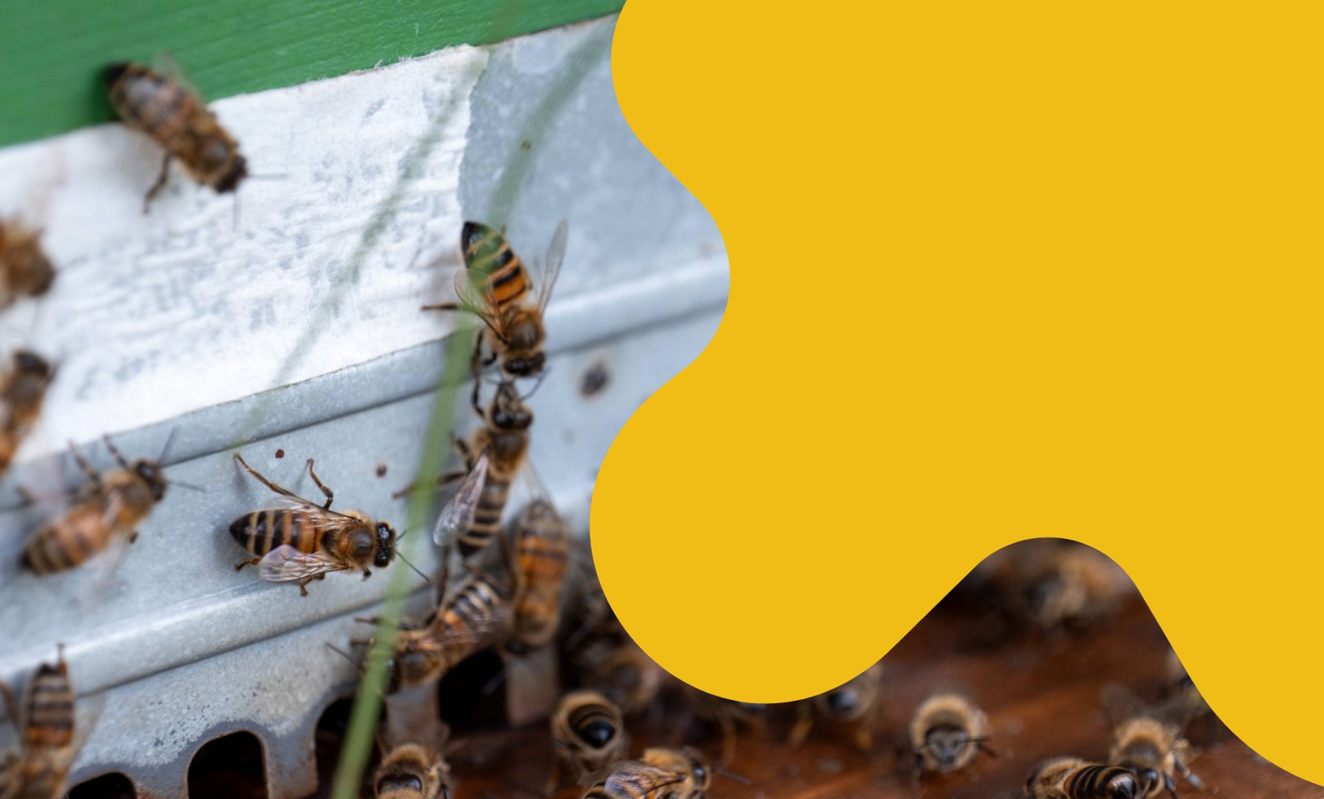 brown and black metal frame