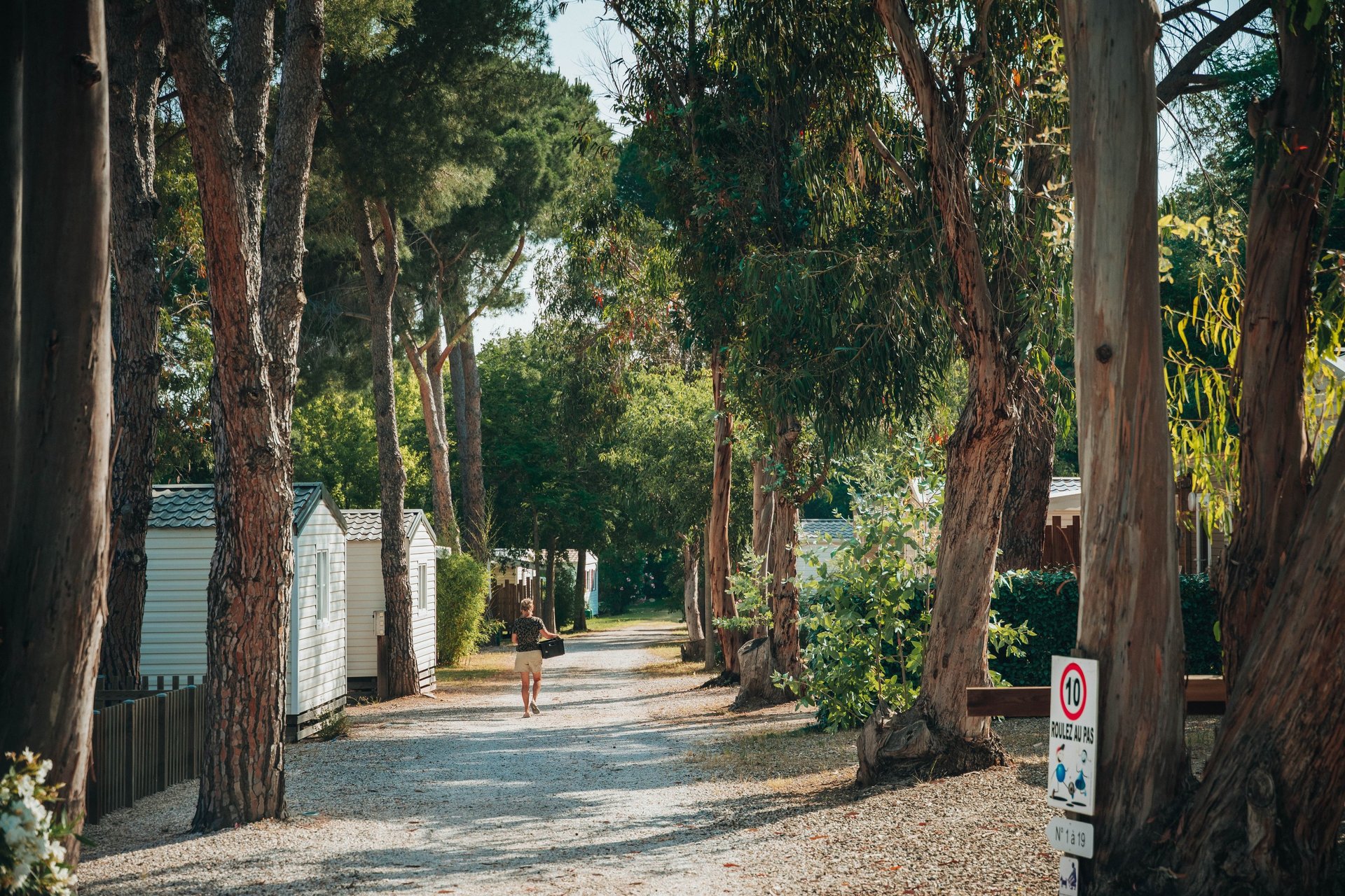 an abstract photo of a curved building with a blue sky in the background