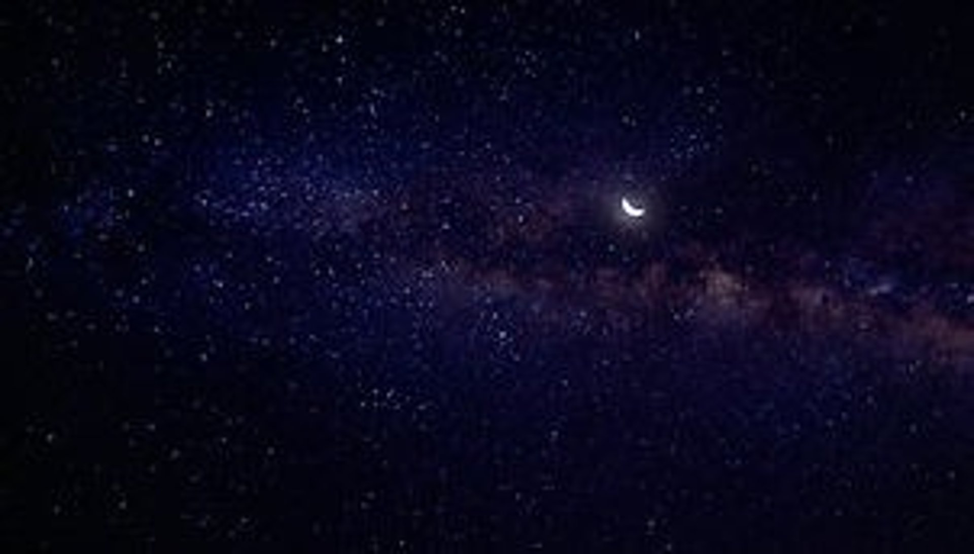pine trees near water with fog