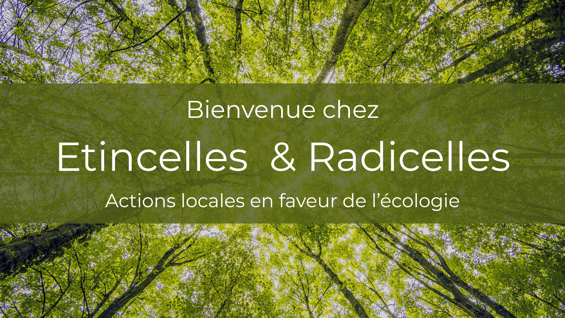 Etincelles et Radicelles