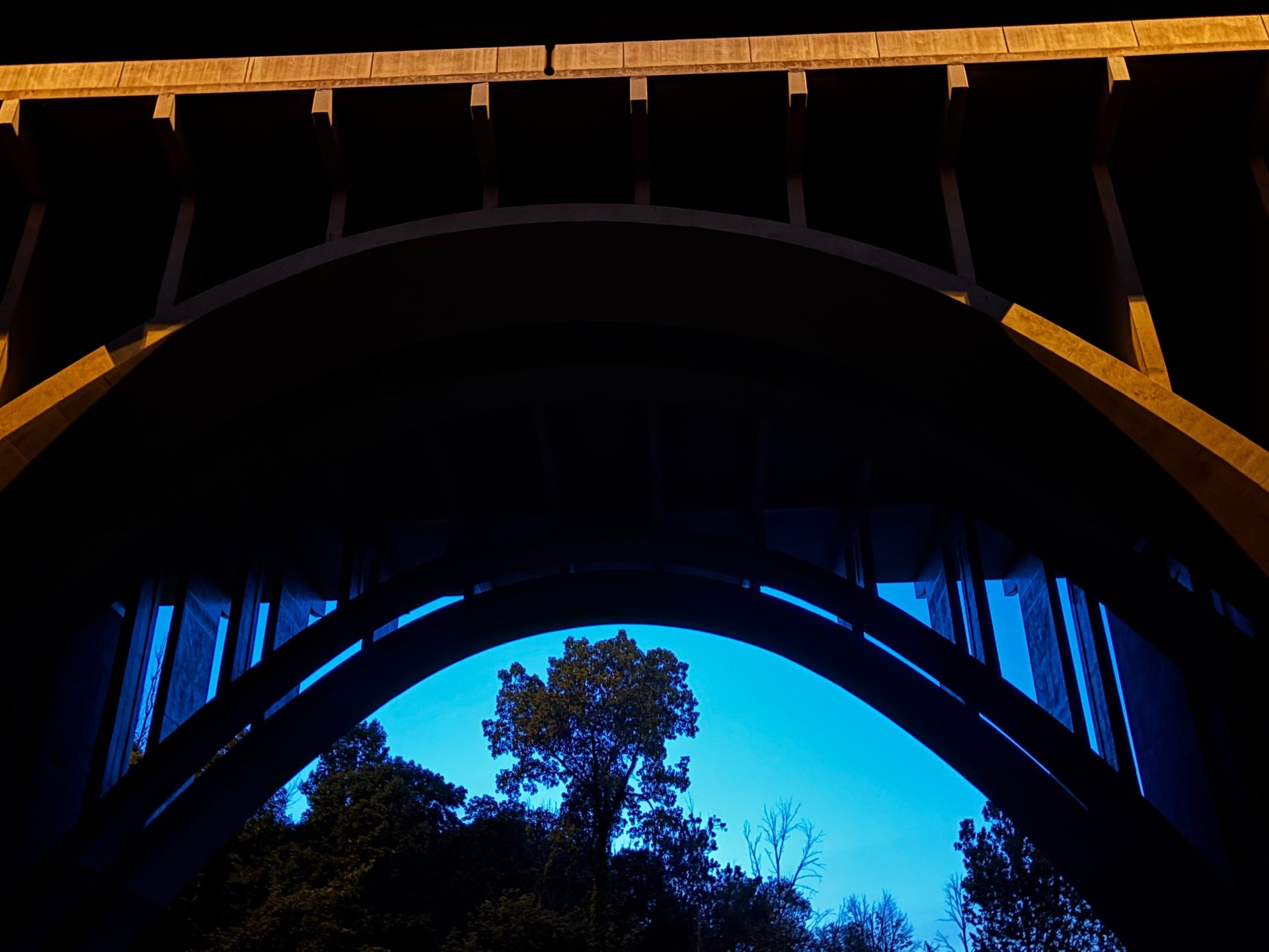 time-lapse photography of road beside trees and transmission tower