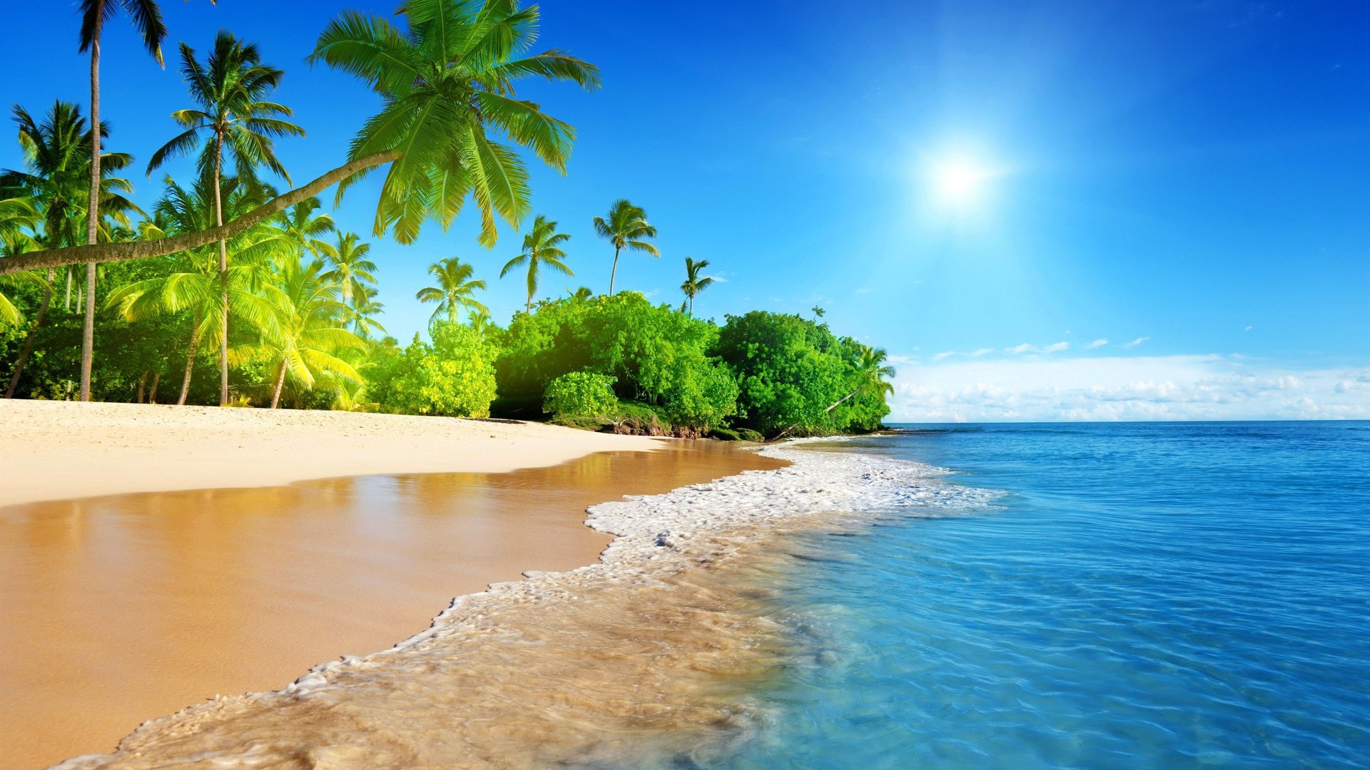A view of a beach through the branches of a tree