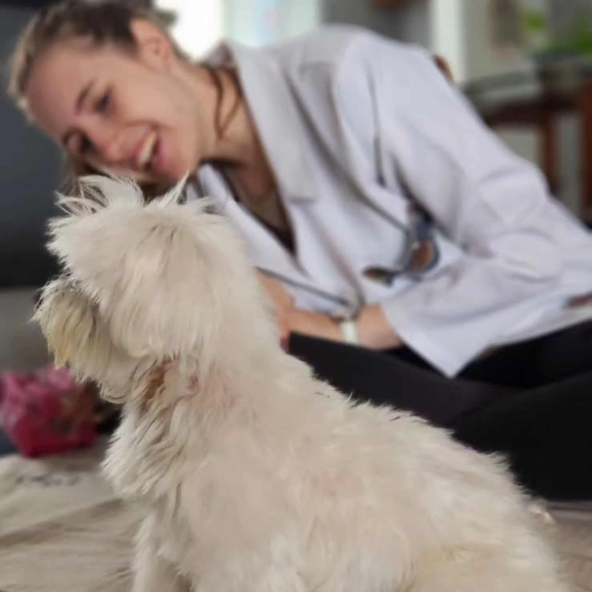 gray computer monitor