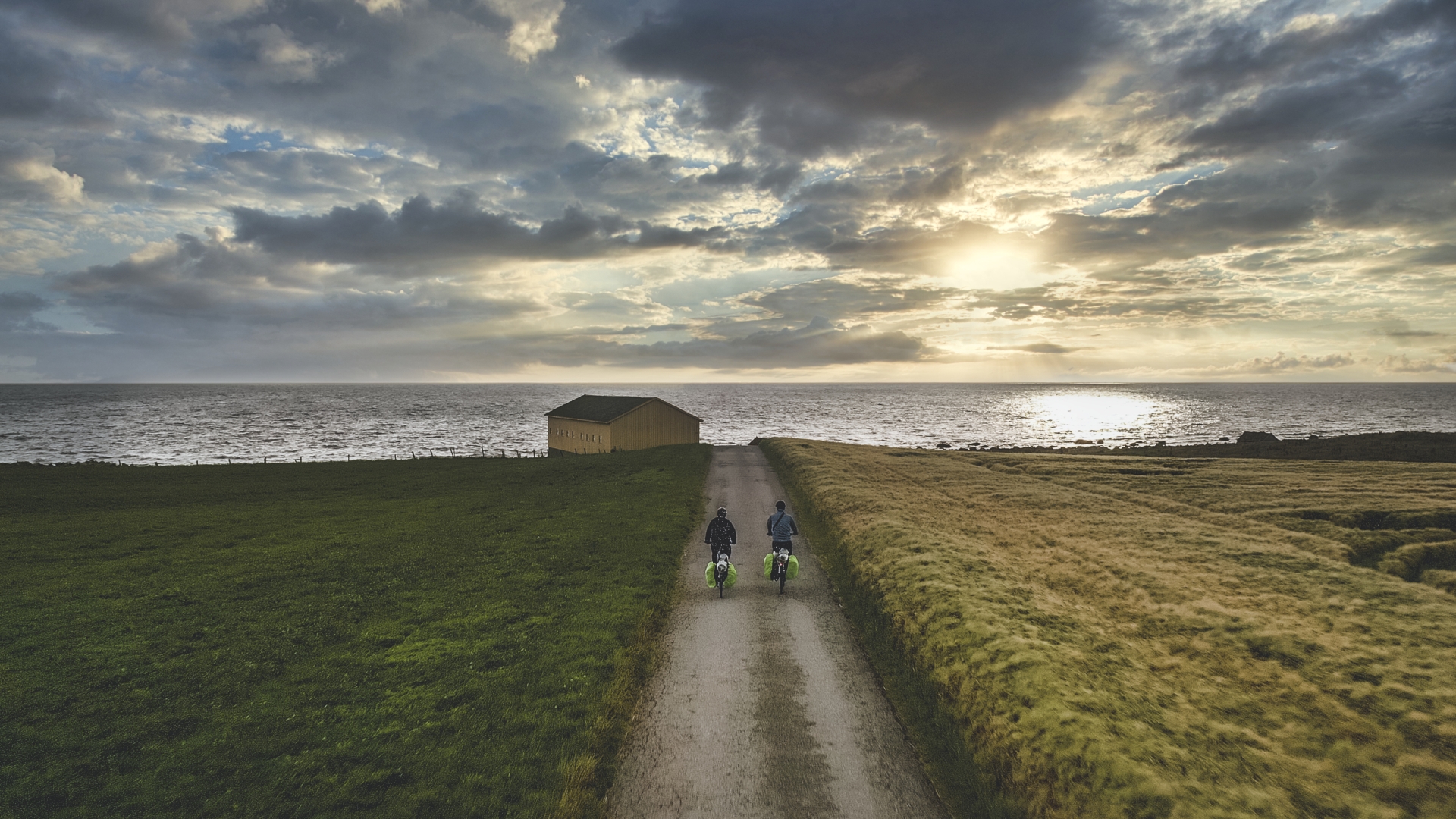 woman holding dried flower