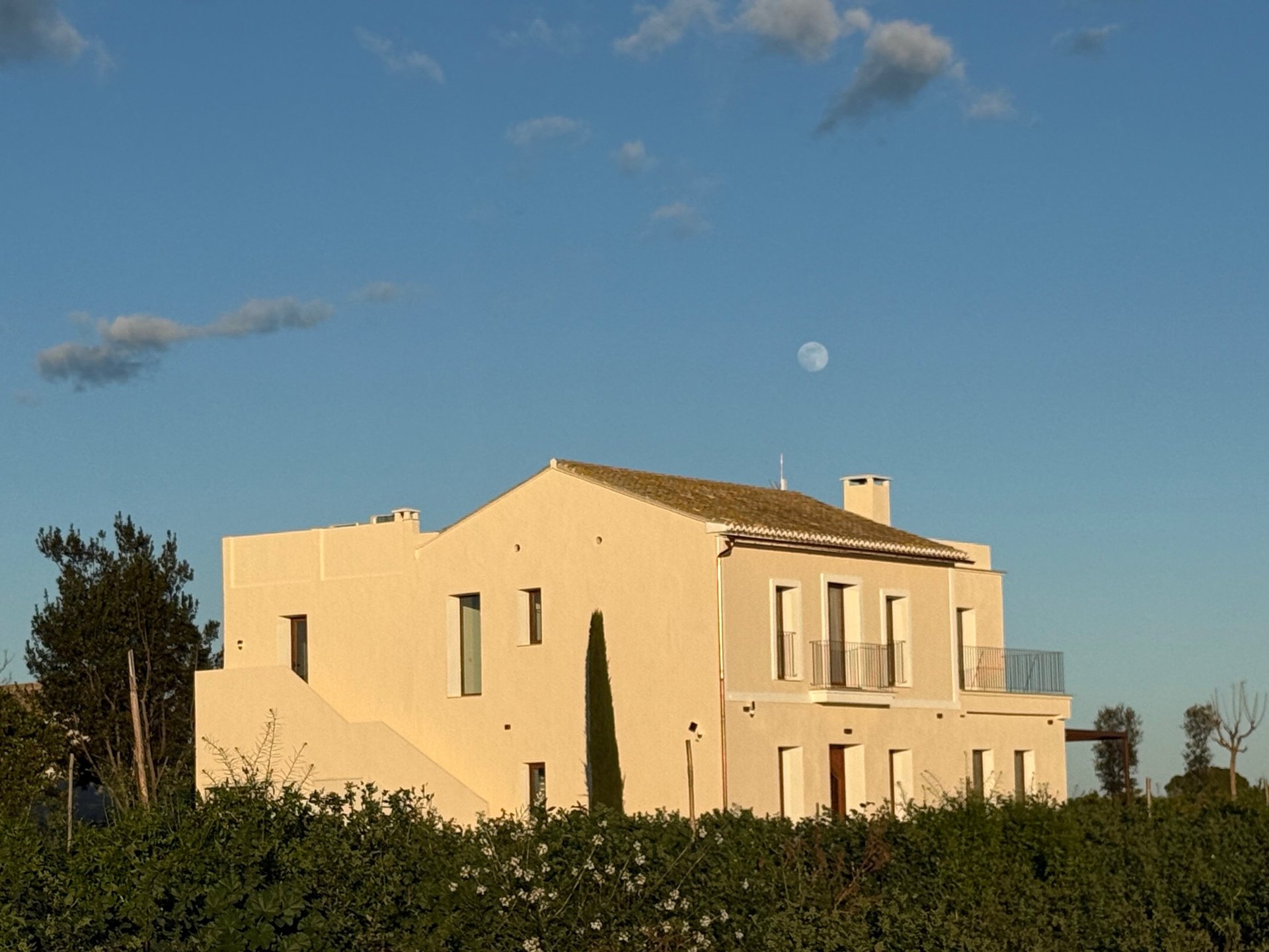 black and brown leather padded tub sofa
