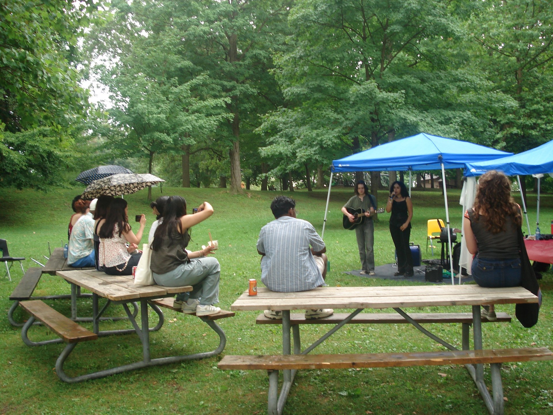 black blue and yellow textile