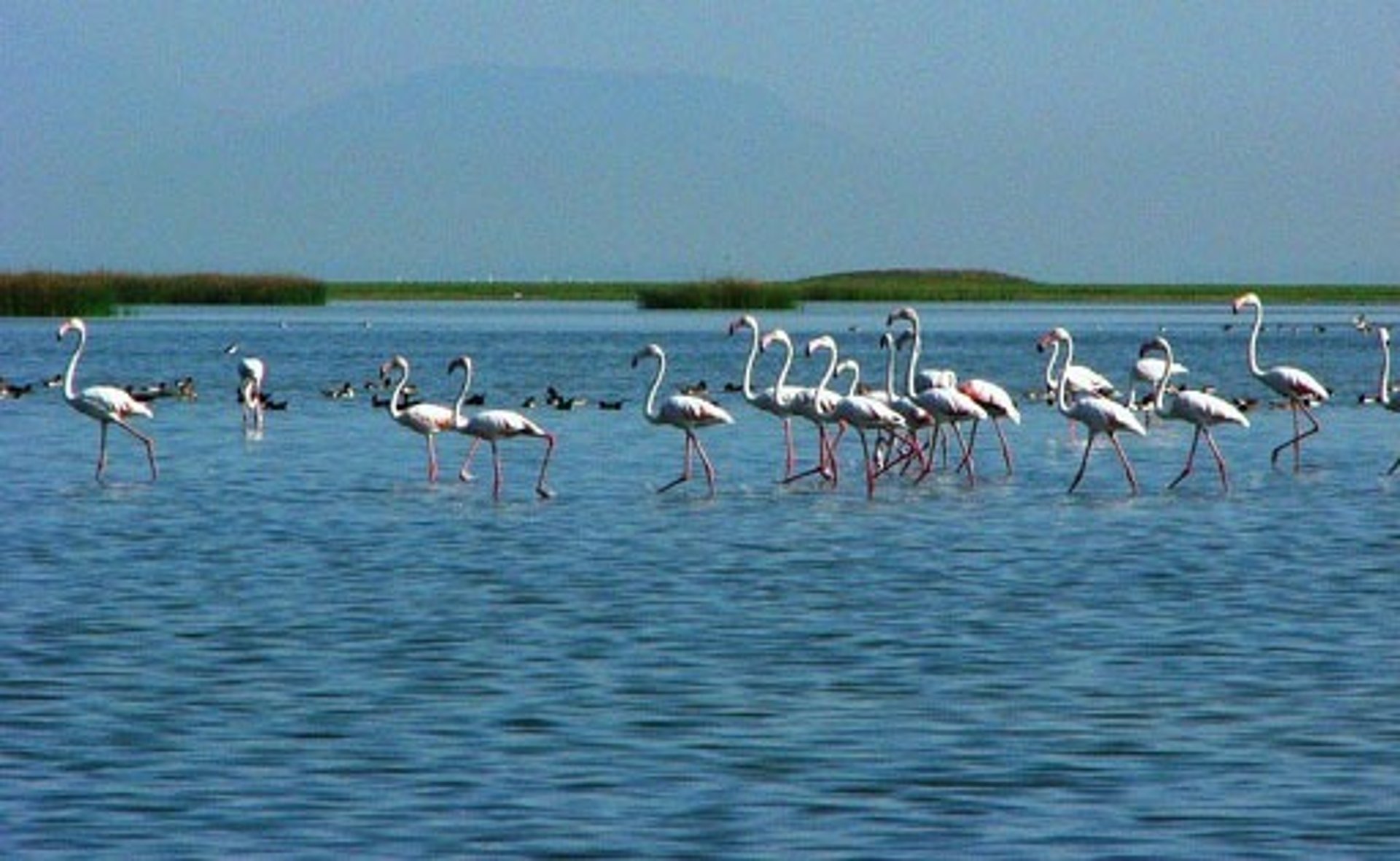 woman wearing yellow long-sleeved dress under white clouds and blue sky during daytime