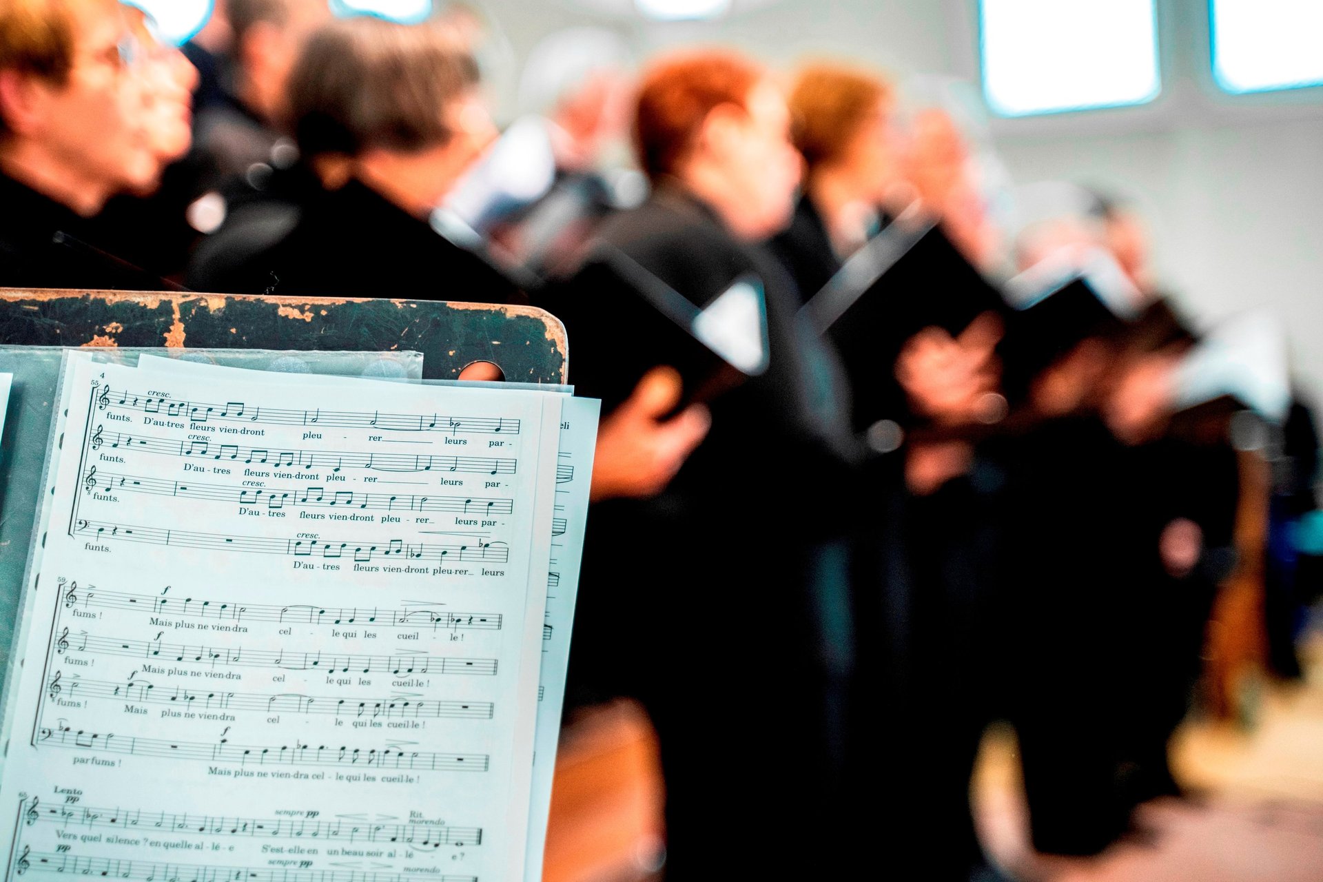 black blue and yellow textile
