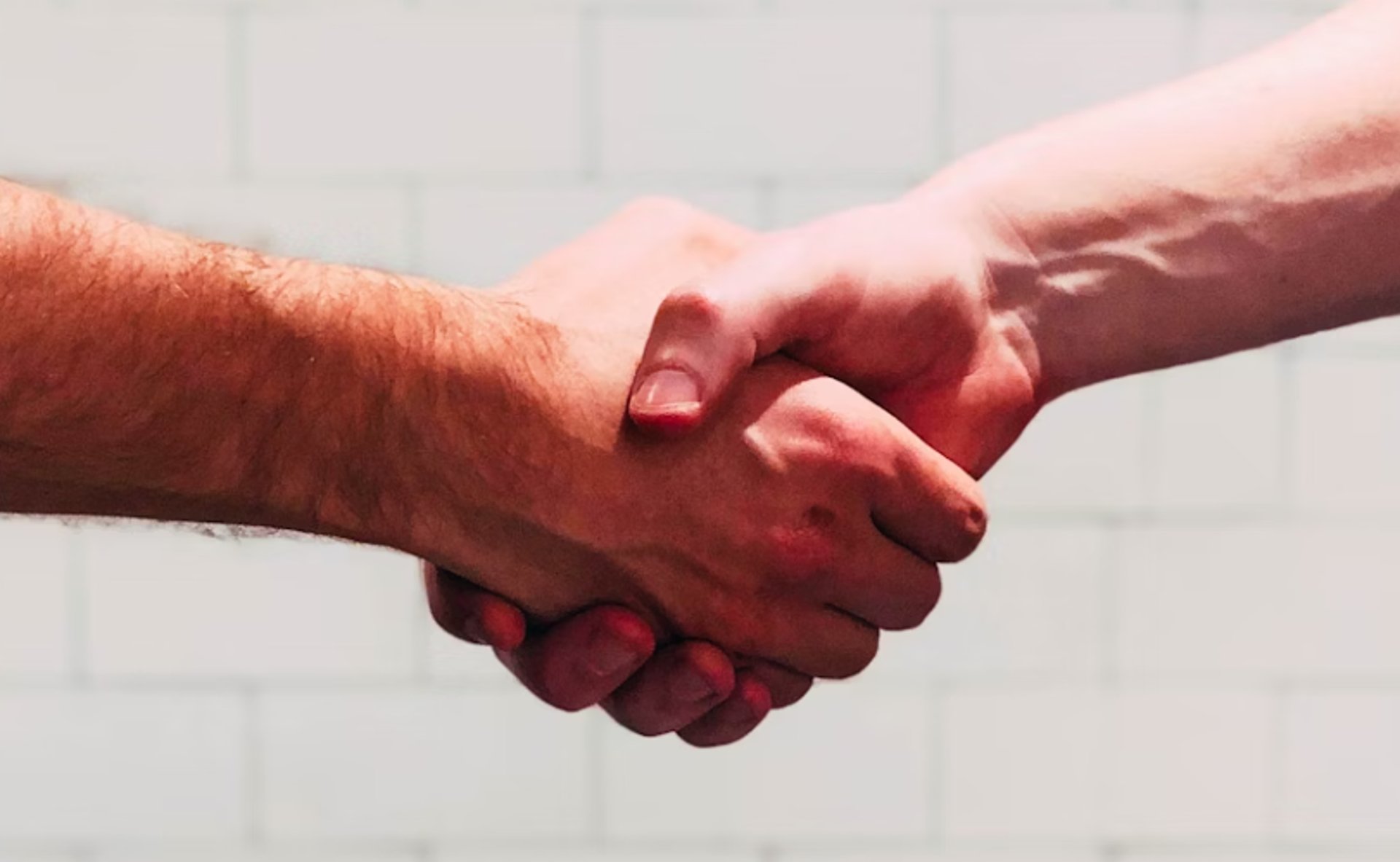 two person shaking hands near white painted wall