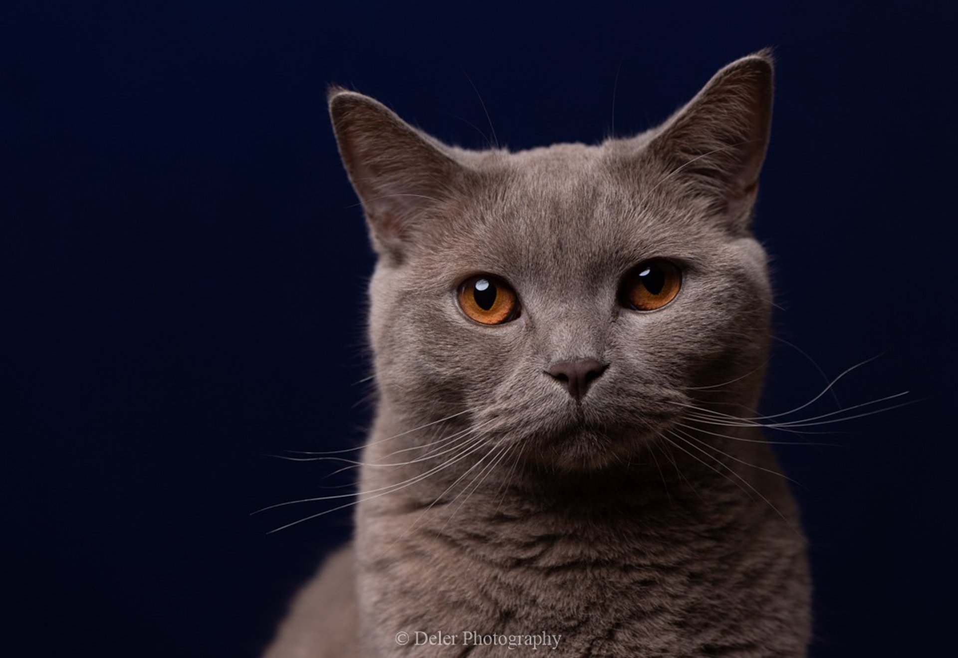 woman wearing yellow long-sleeved dress under white clouds and blue sky during daytime