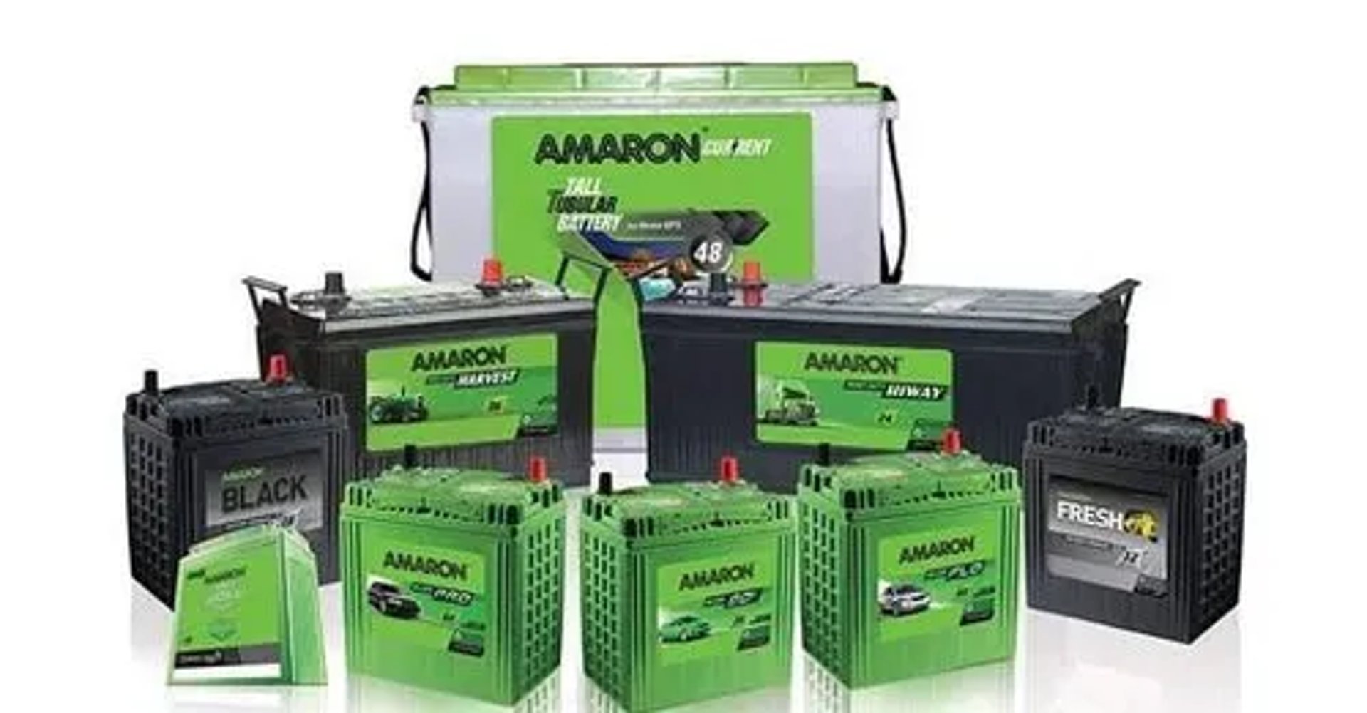 selective focus photography of green succulent plant