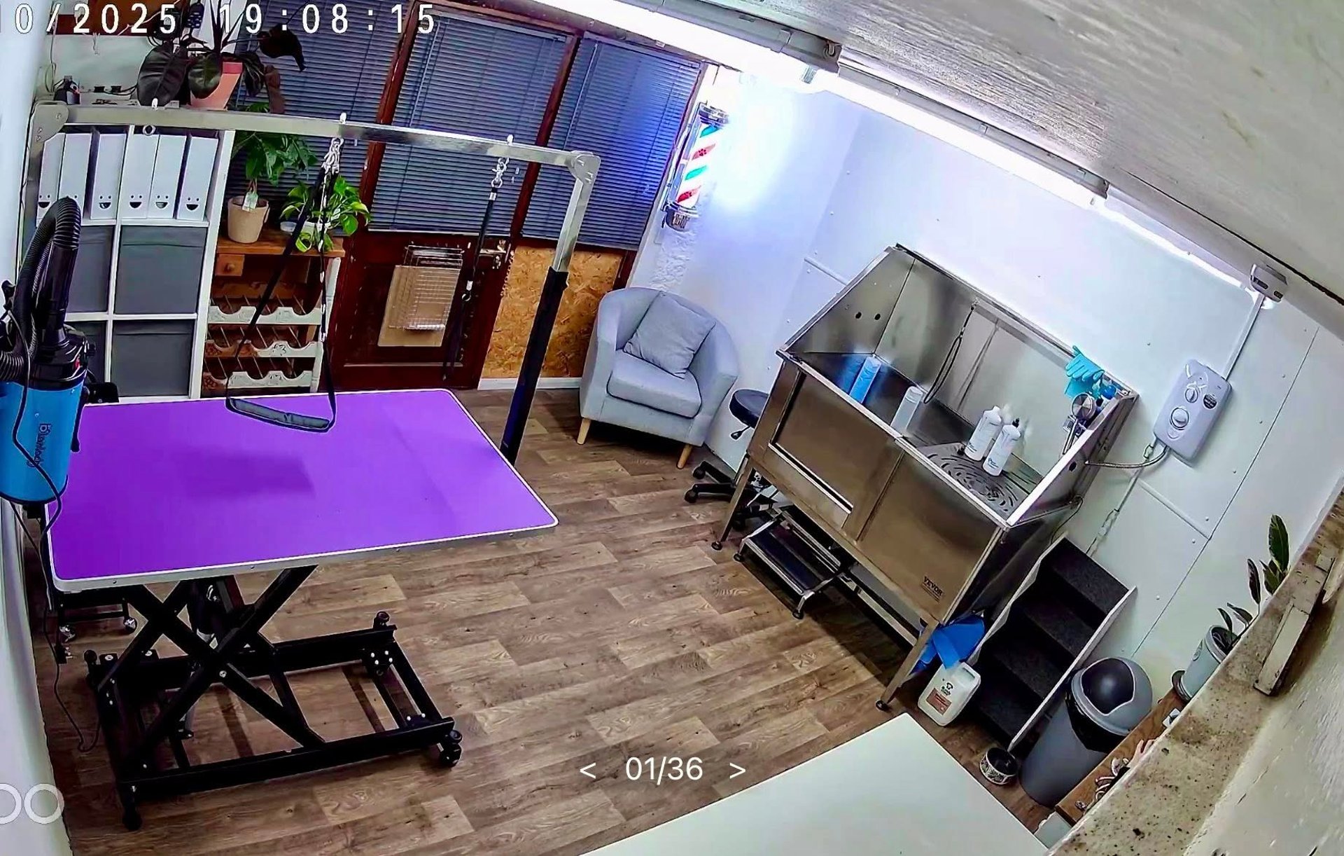 woman wearing yellow long-sleeved dress under white clouds and blue sky during daytime