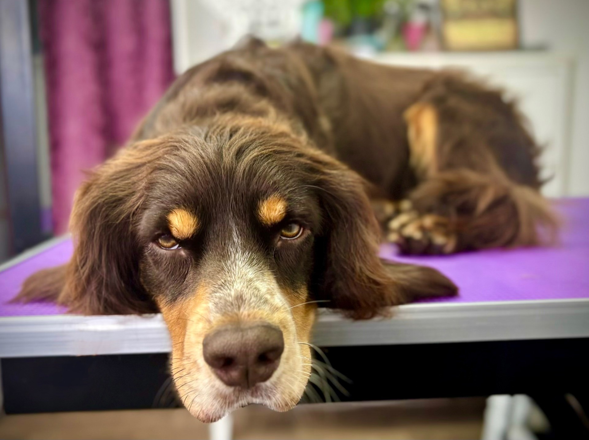 black and white bed linen