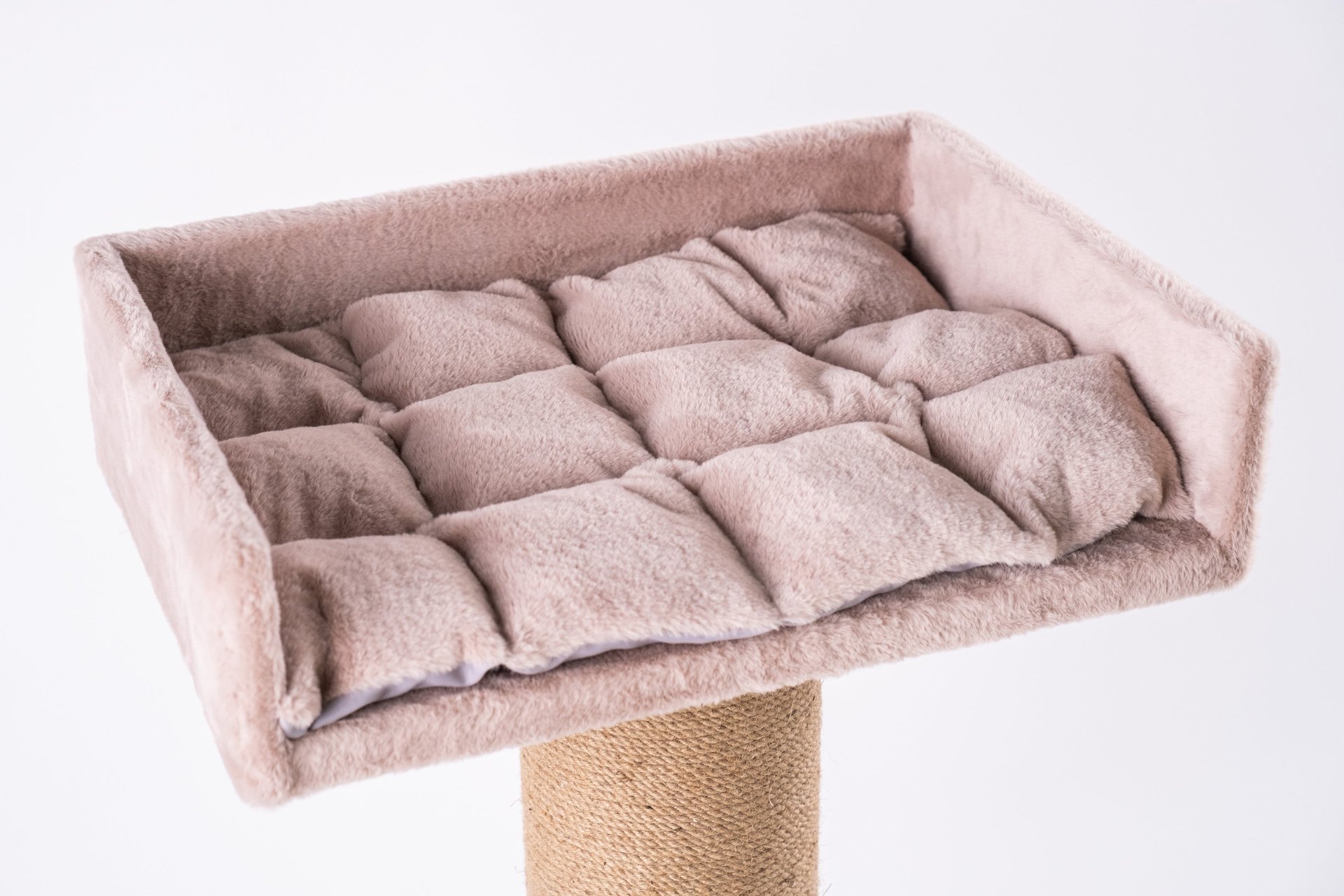 an abstract photo of a curved building with a blue sky in the background