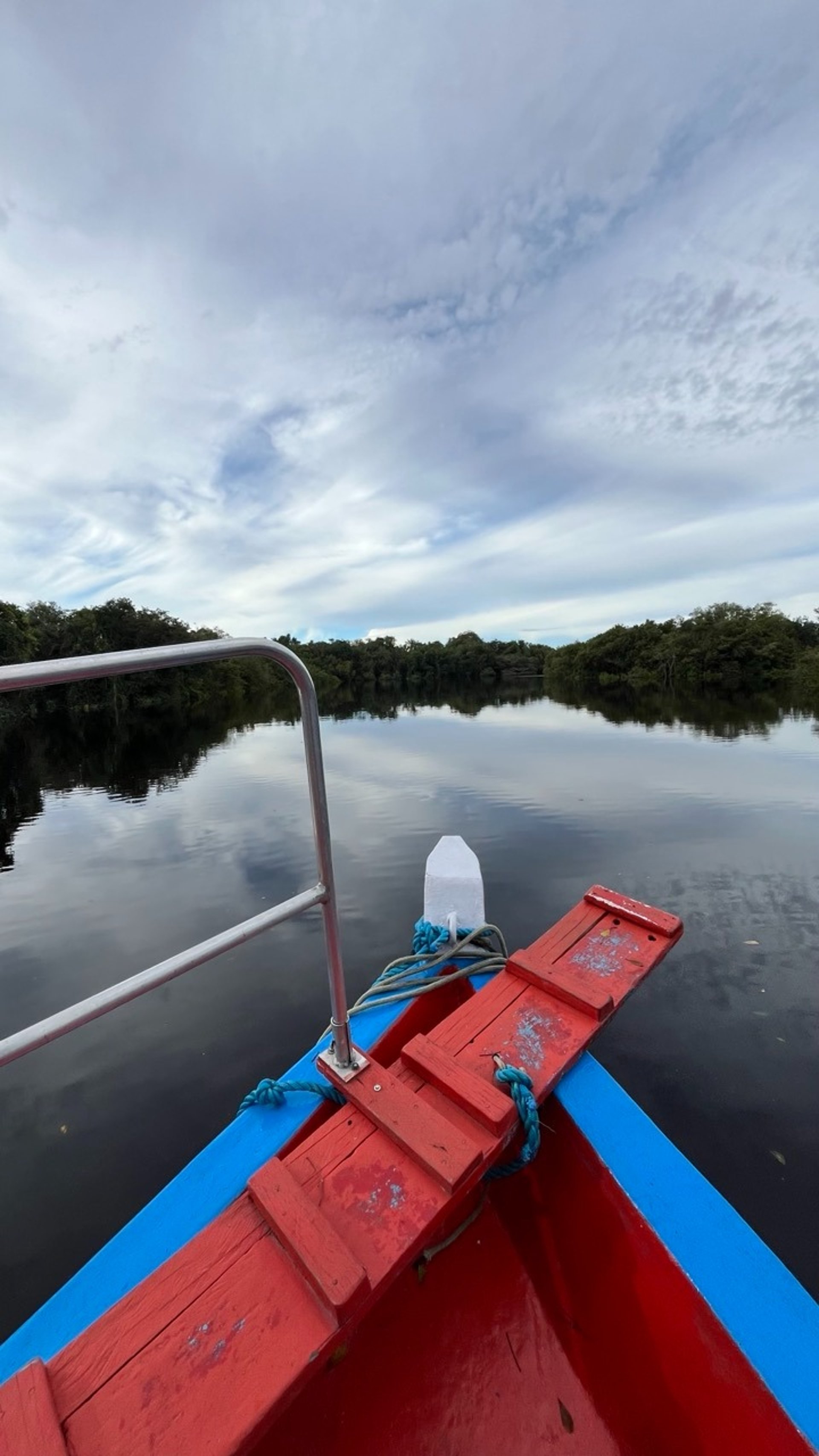 the sun is shining through the trees in the forest