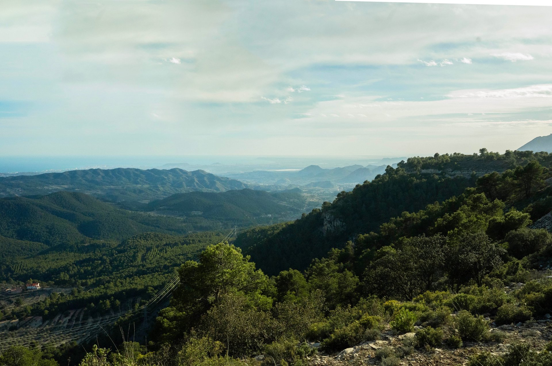 black blue and yellow textile