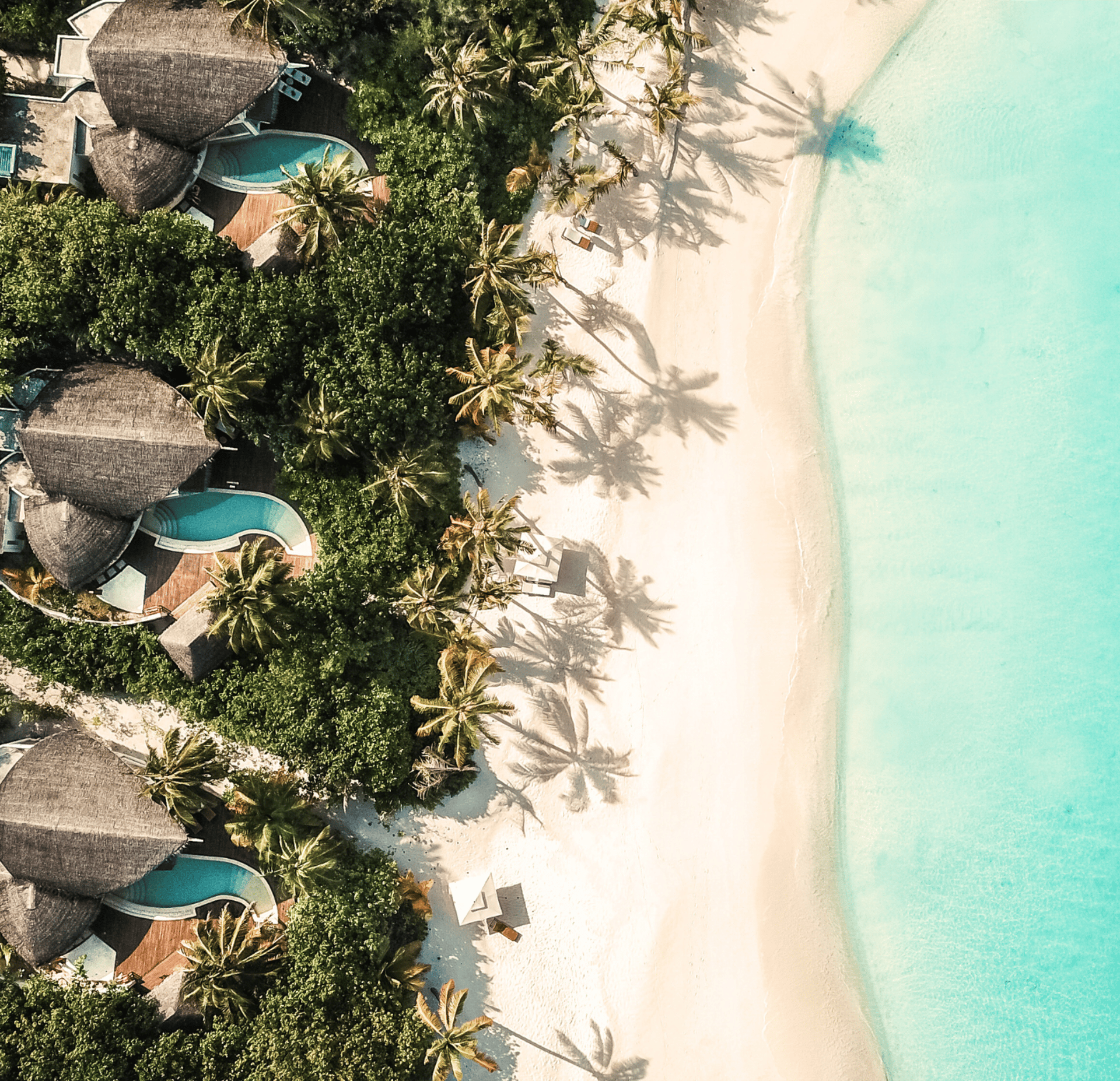 black and white bed linen