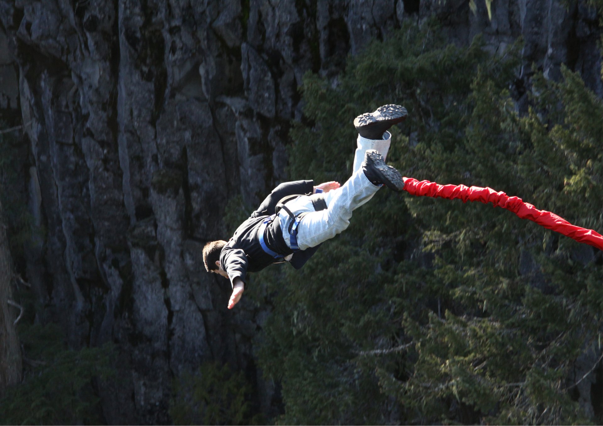gray computer monitor