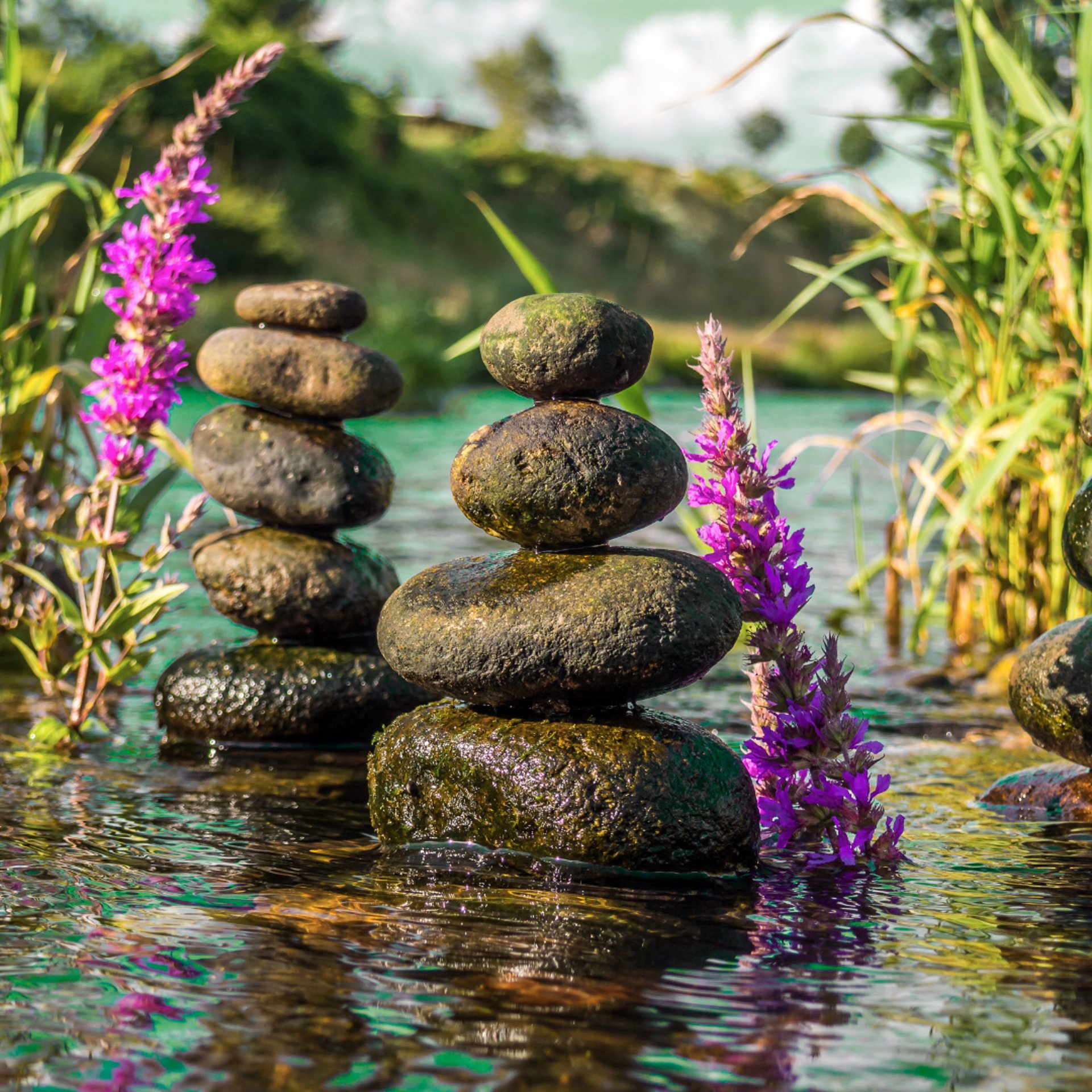 black and white bed linen