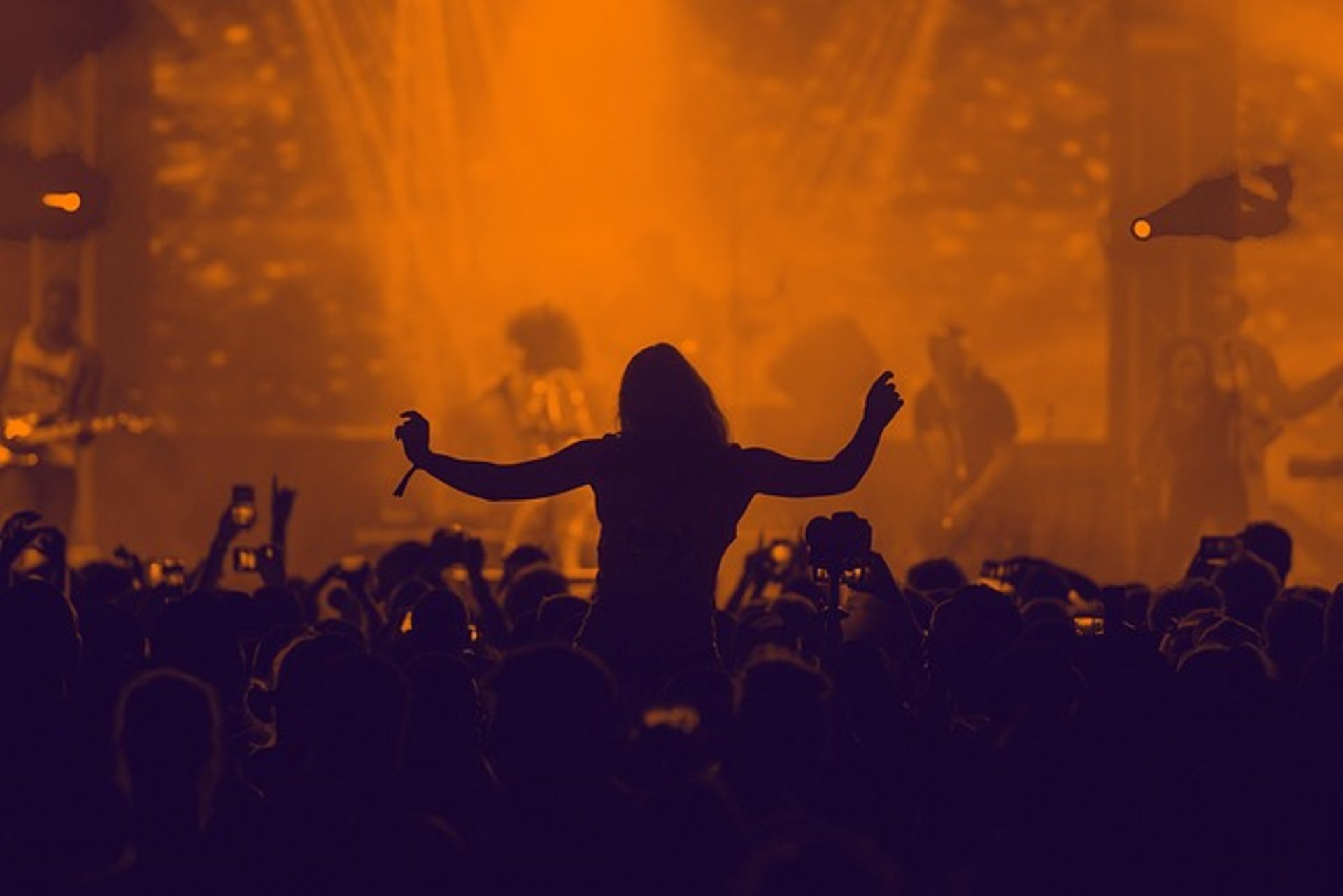 people raising their hands on concert