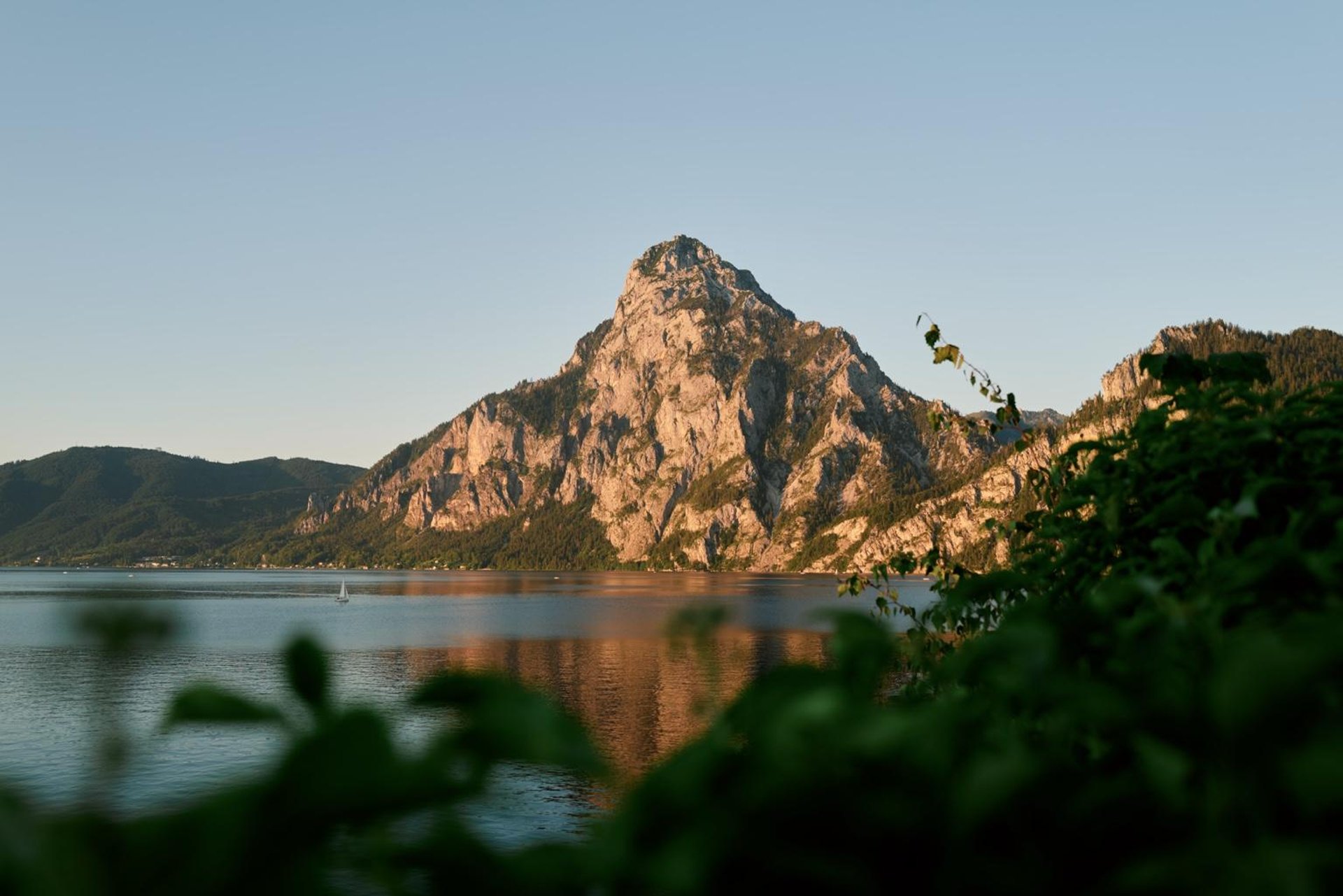black and brown leather padded tub sofa
